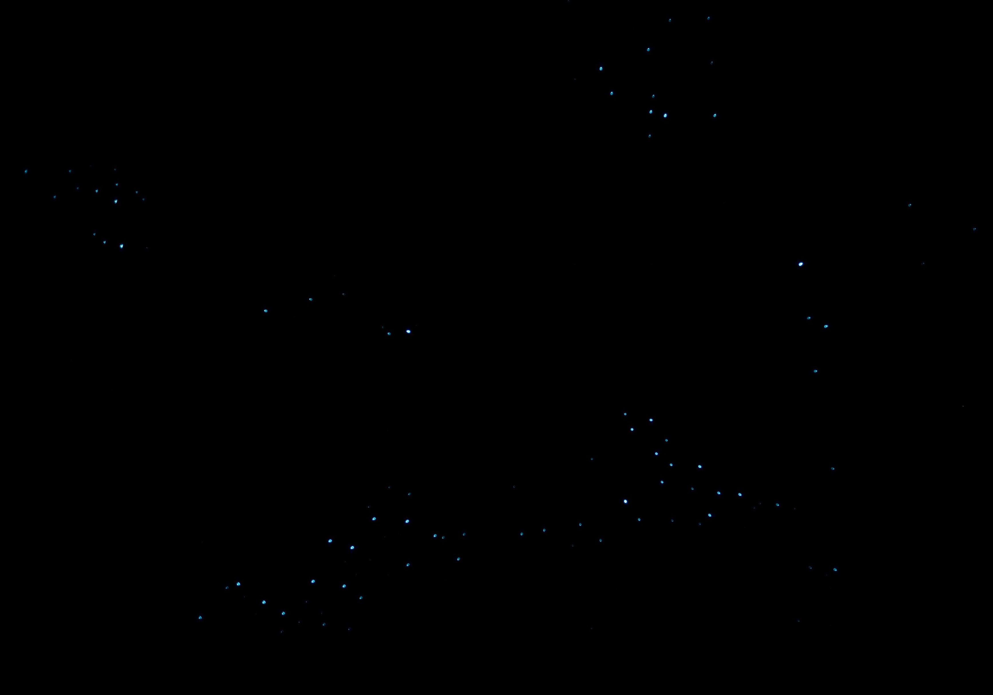 Glow worms close up. Photo: Rosie Nicolai/DPIE