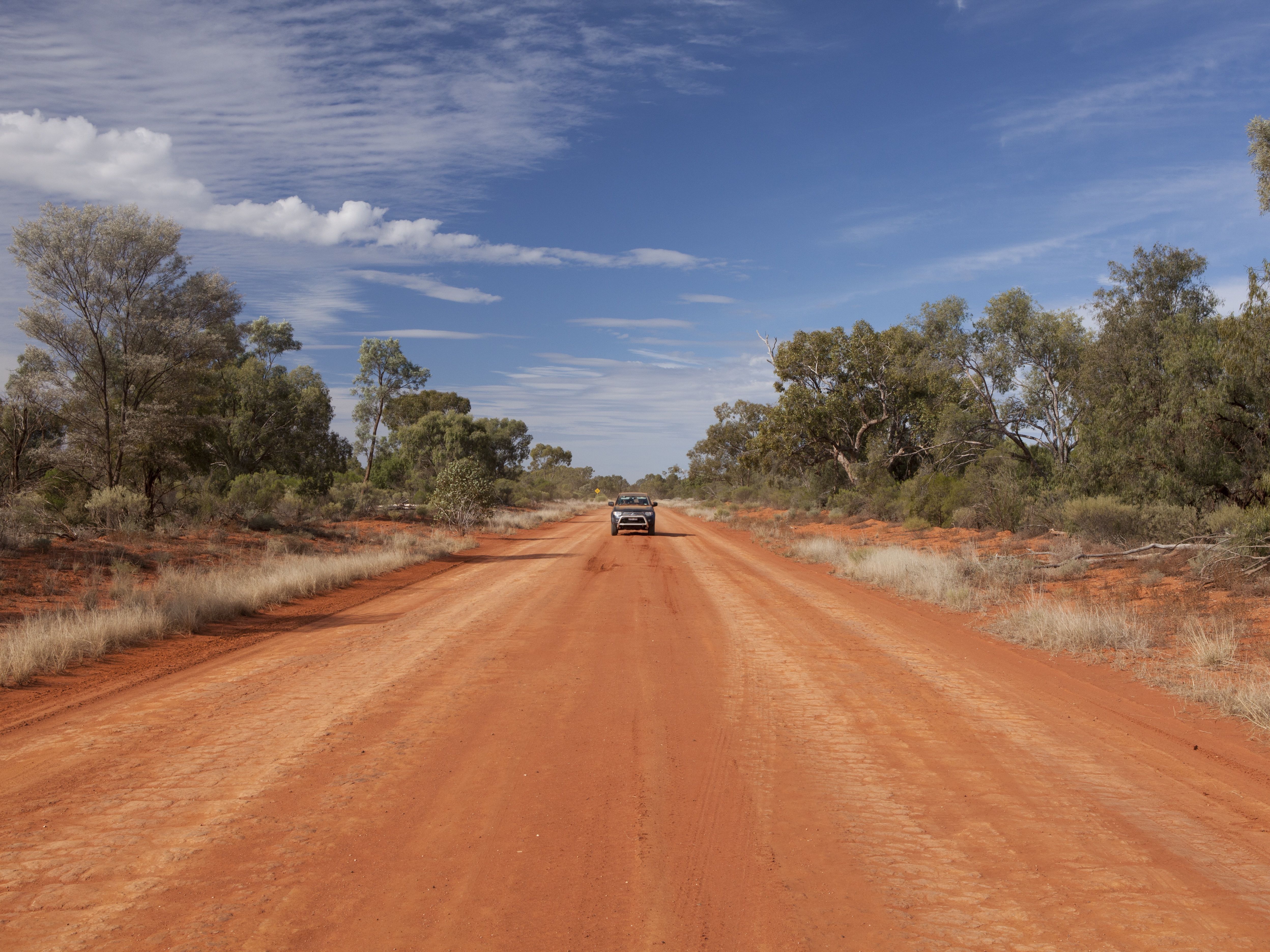 Vehicle on red earth dirt road Gundabooka National Park. Photo: David Finnegan/DPIE