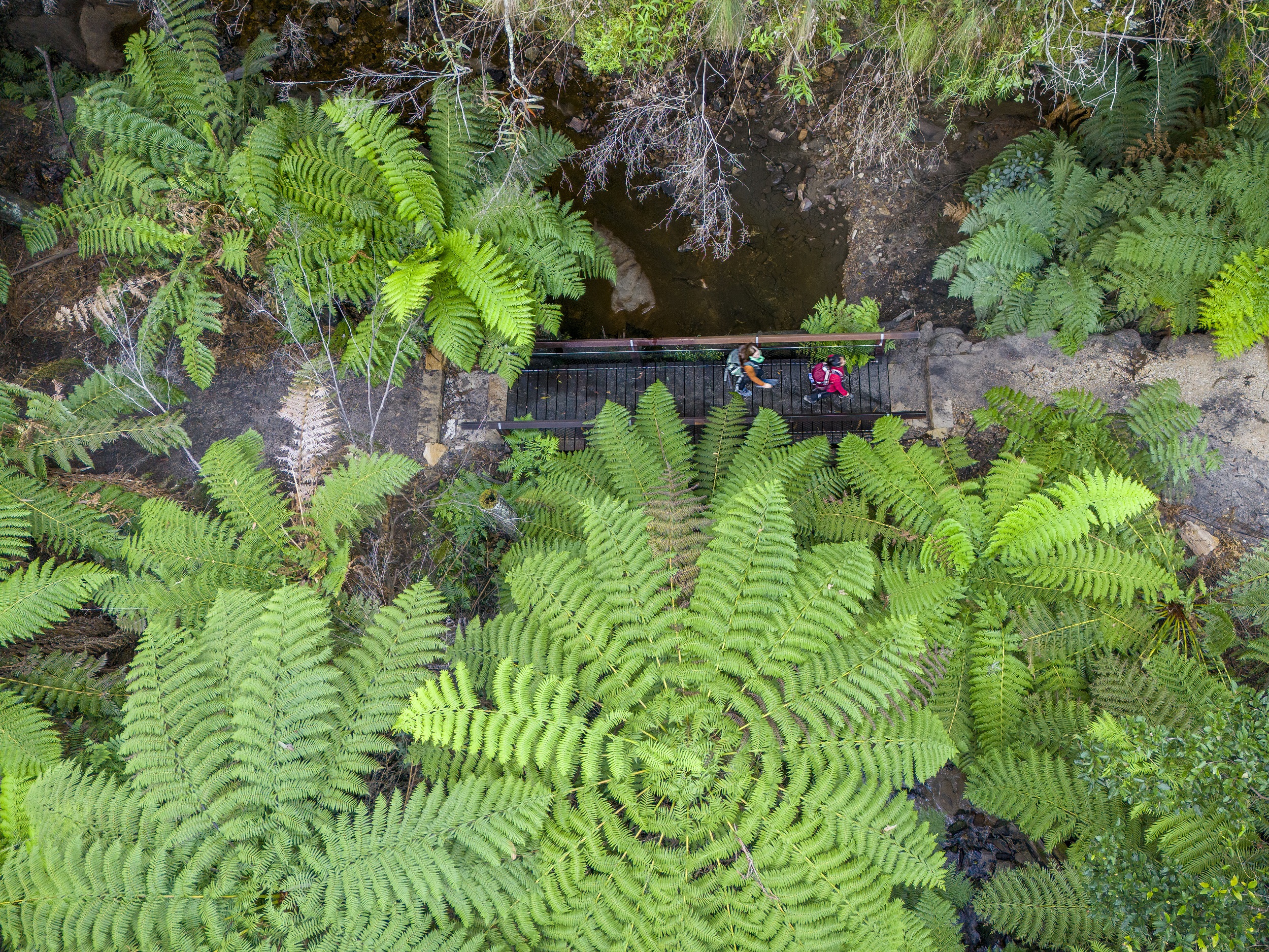Two people walking to Glow worm tunnel via Wolgan Valley Loop. Photo credit: John Spencer/DCCEEW