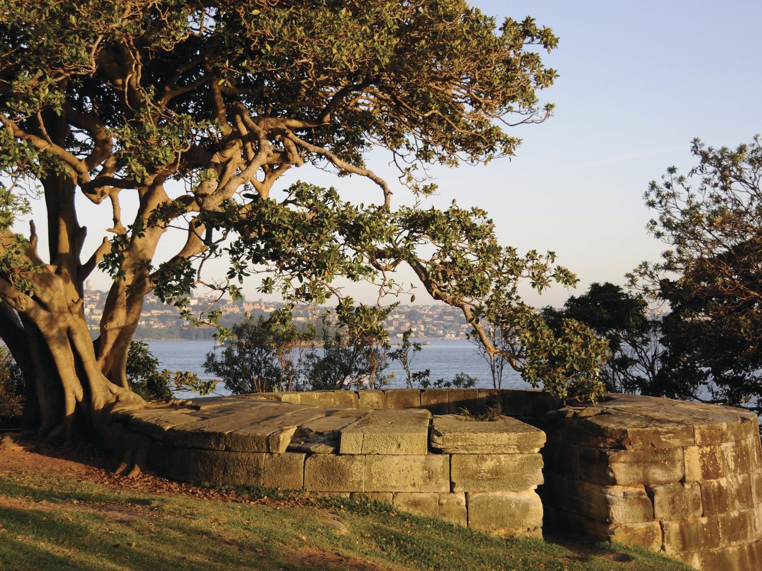 Gun emplacement in parkland