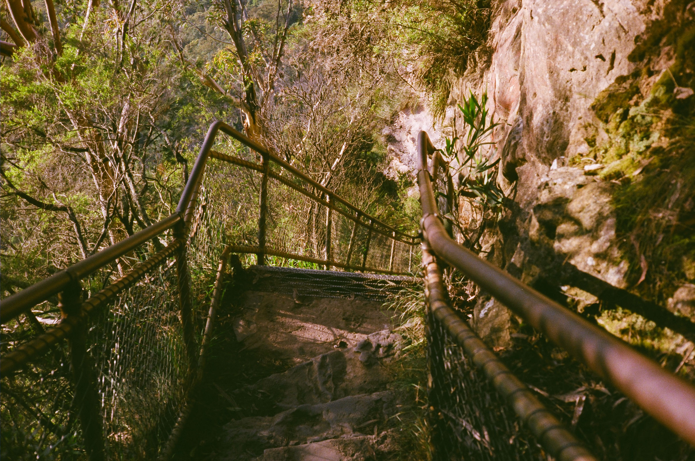 Old stairs down rock face, Blue Mountains National Park. Photo: © Adrian Mascenon @adrianmascenon
