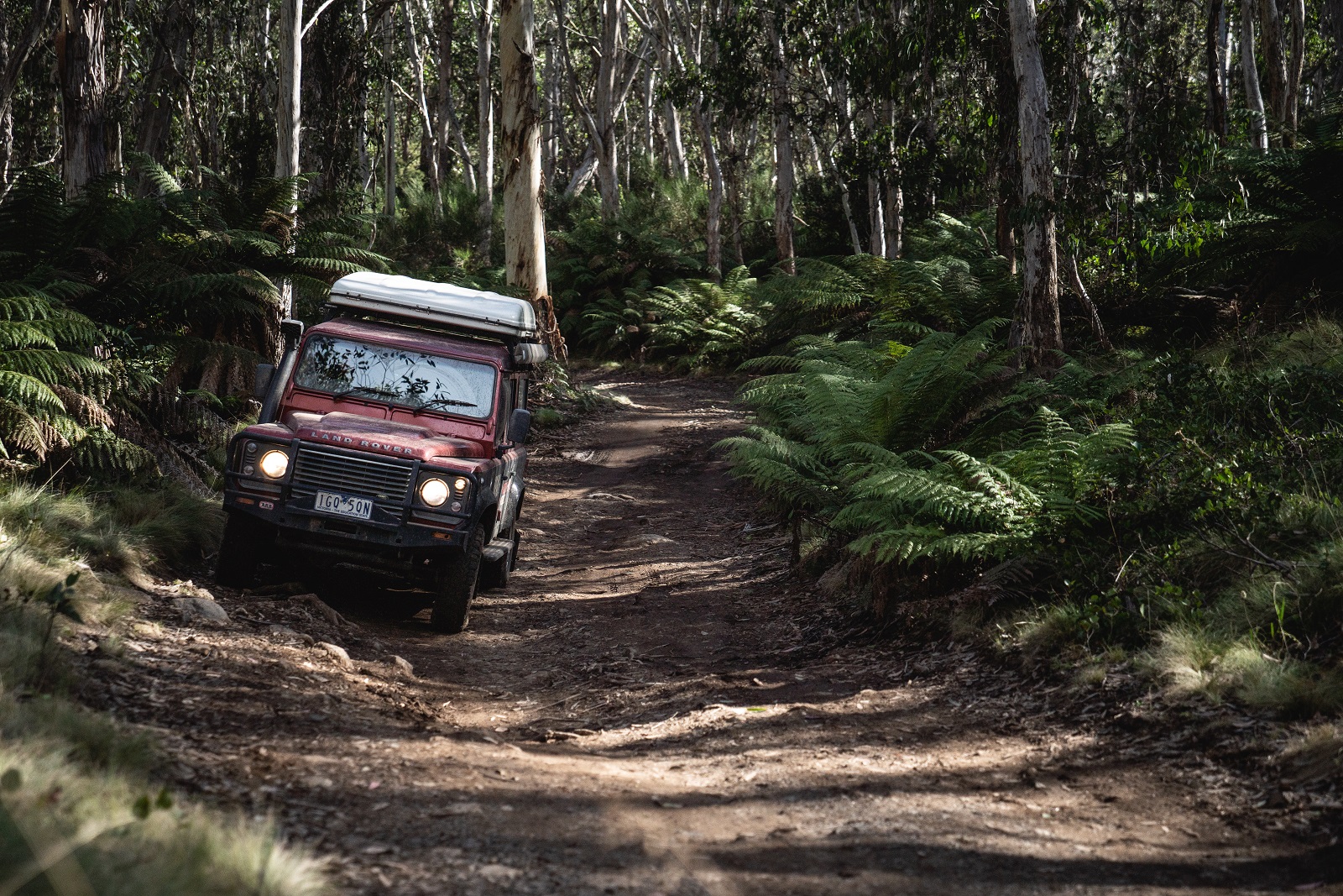 4WD in Barrington Tops National Park. Photo credit: Rob Mulally/DPIE