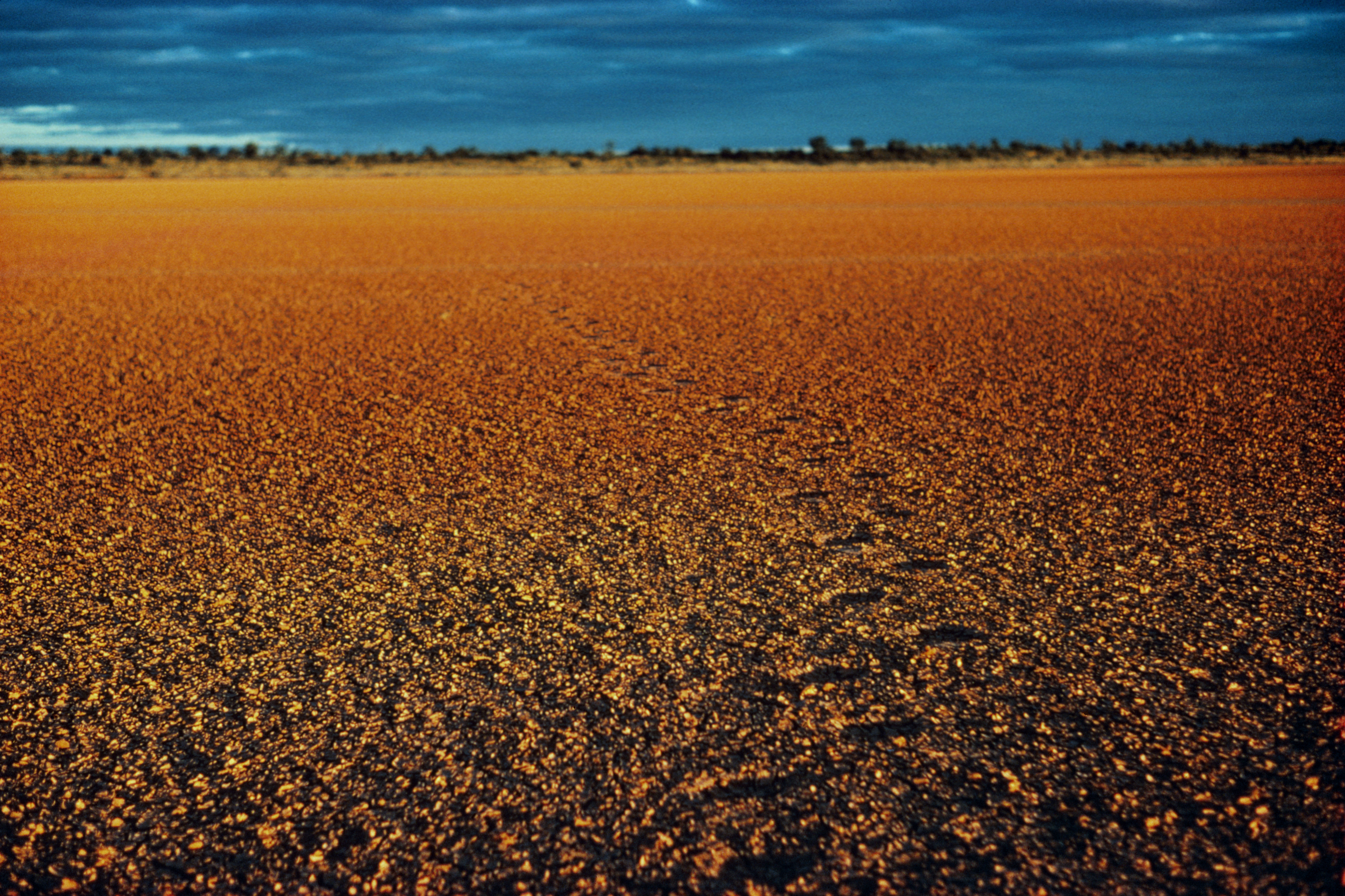 Cracked red dirt claypan, Sturt National Park. Photo: J Gerritson/DPIE