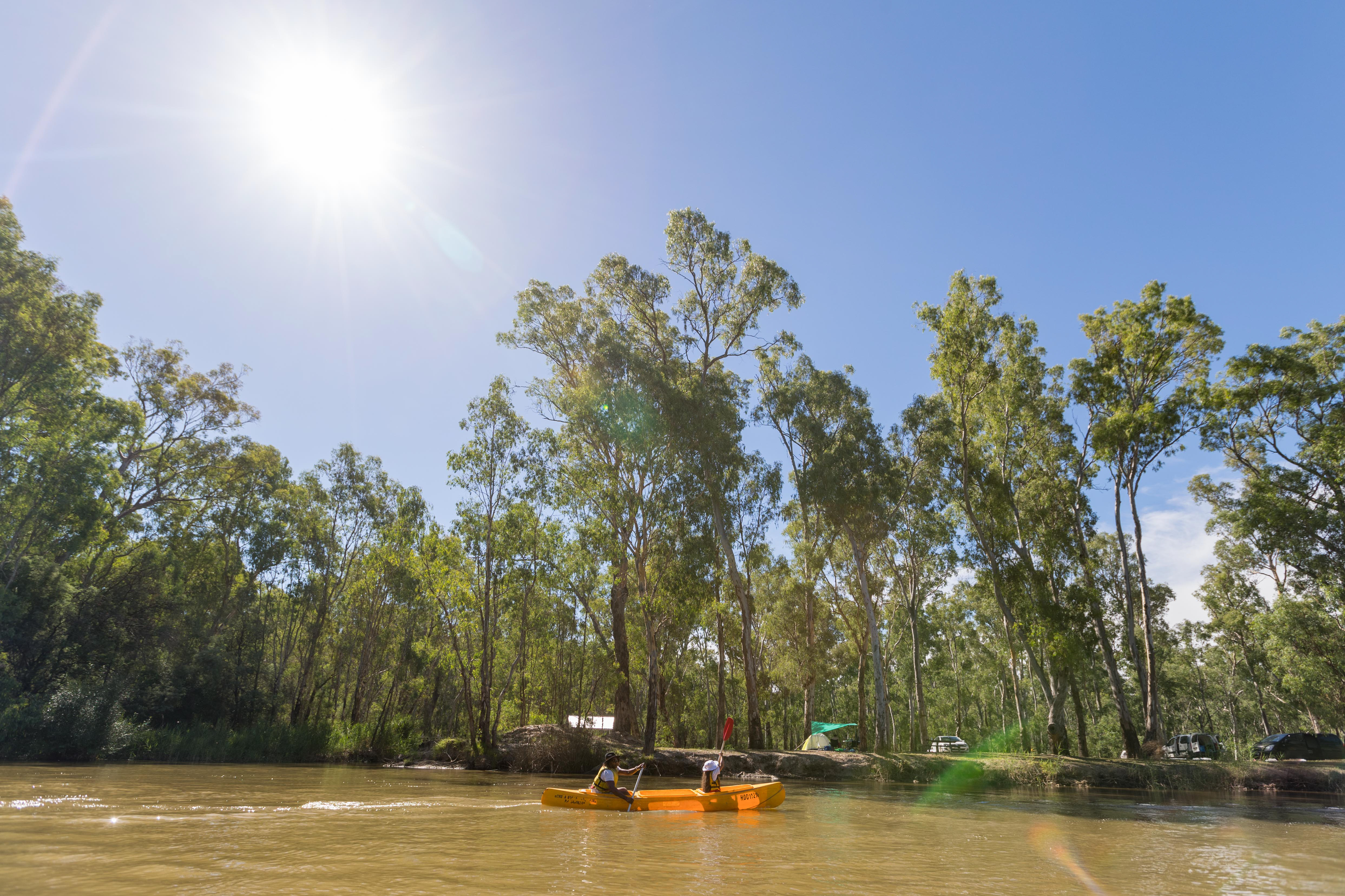 Father and daughter canoeing at Swifts Creek campground on the Murray River. Photo credit: Boen Ferguson/DPIE