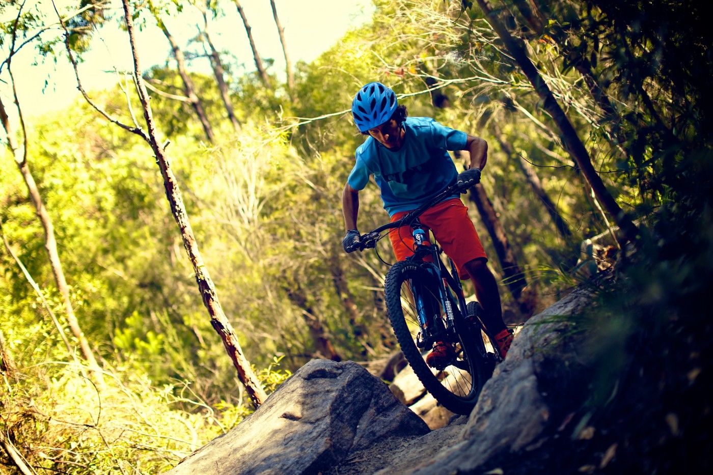 Mountain biker at Gahnia and Serrata mountain bike trails in Garigal National Park. Photo: Flow Mountain Bike