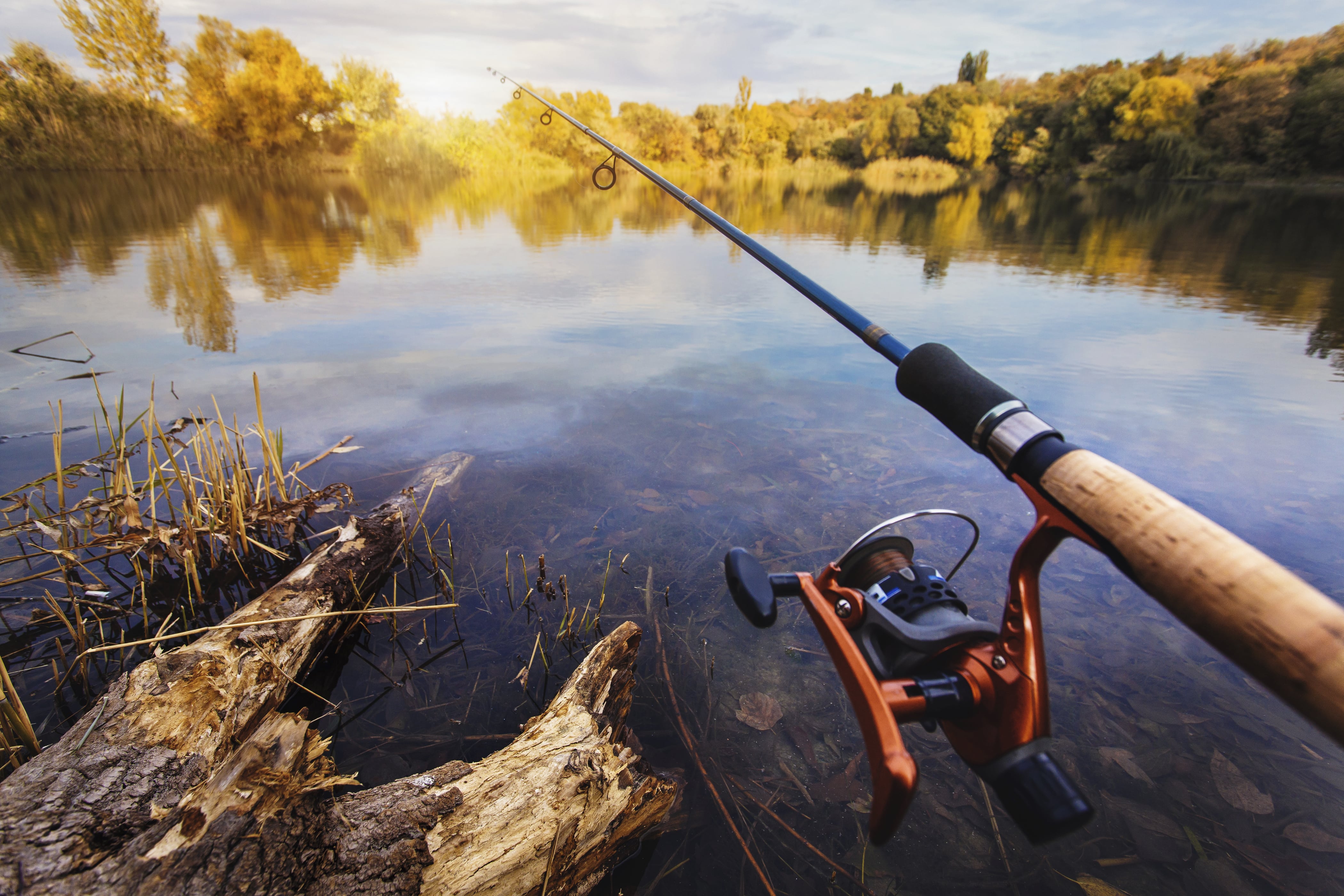 Fishing by a river. Photo: Dmitriy Titov