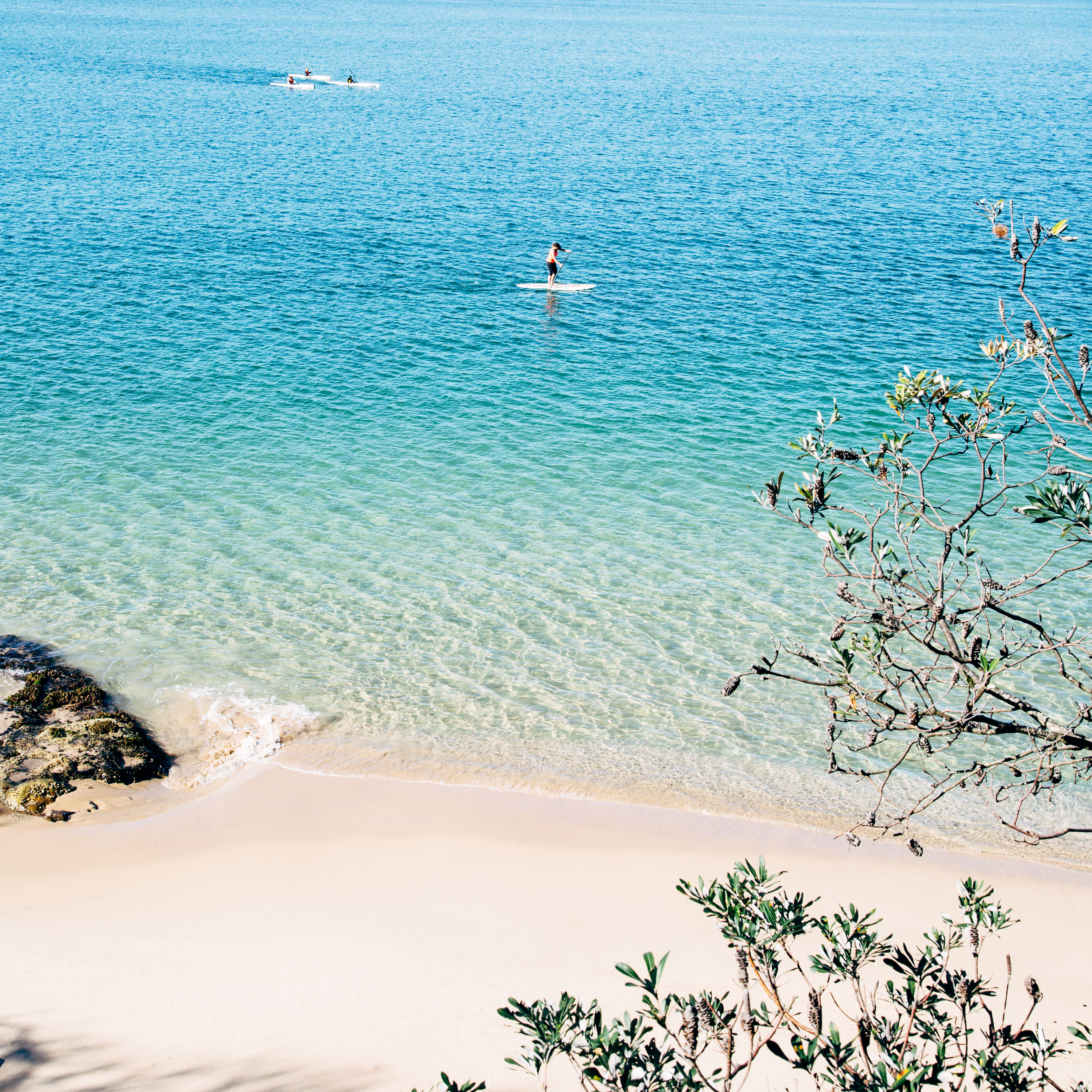 Person paddle boarding at Castle Rock Beach, Sydney Harbour National Park. Photo: Jack Bussell