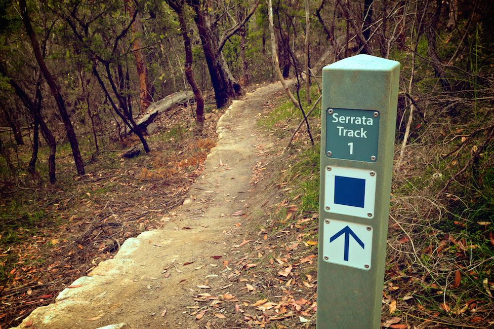 Bike trail marker at Gahnia and Serrata mountain bike trails in Garigal National Park. Photo: Flow Mountain Bike