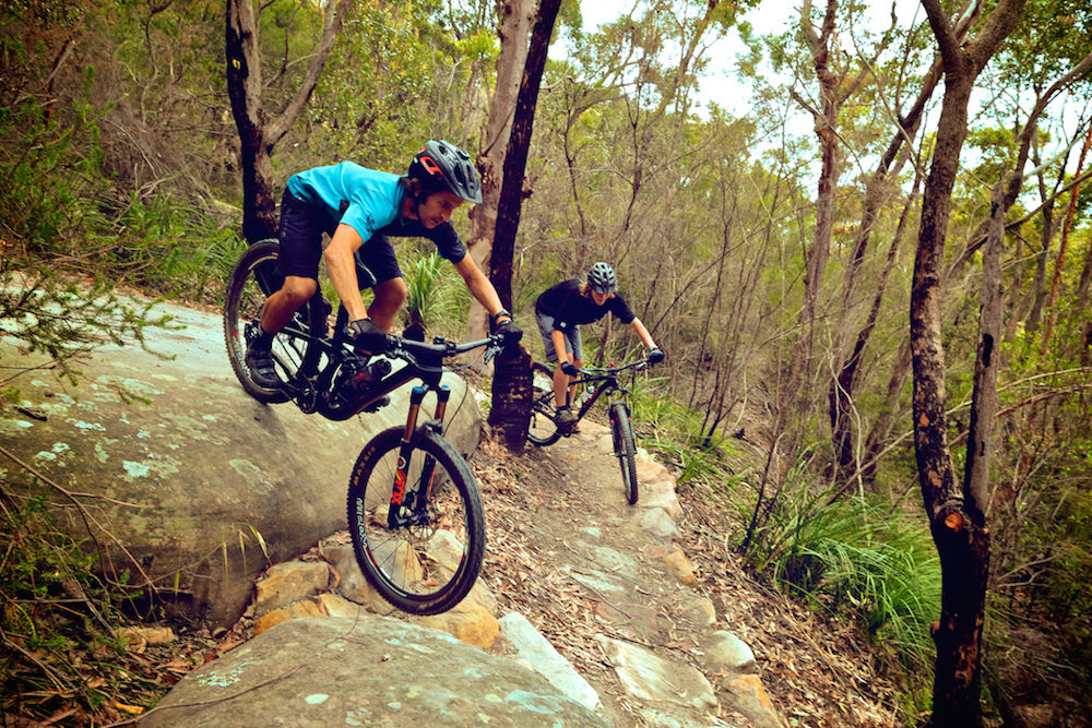 Mountain biking at Gahnia and Serrata mountain bike trails in Garigal National Park. Photo: Flow Mountain Bike