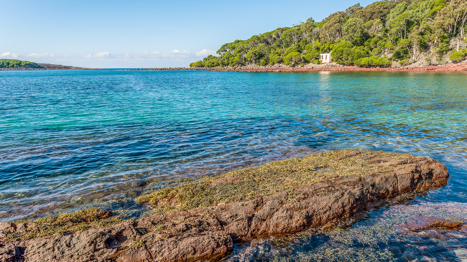 Crystal clear waters at Barmouth Beach, Beowa National Park. Photo: John Spencer/DPIE