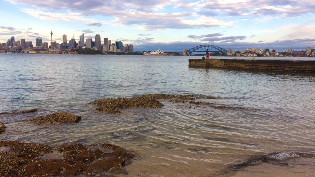 View of the city from Bradleys Head, Sydney Harbour National Park. Photo: Elinor Sheargold/DPIE