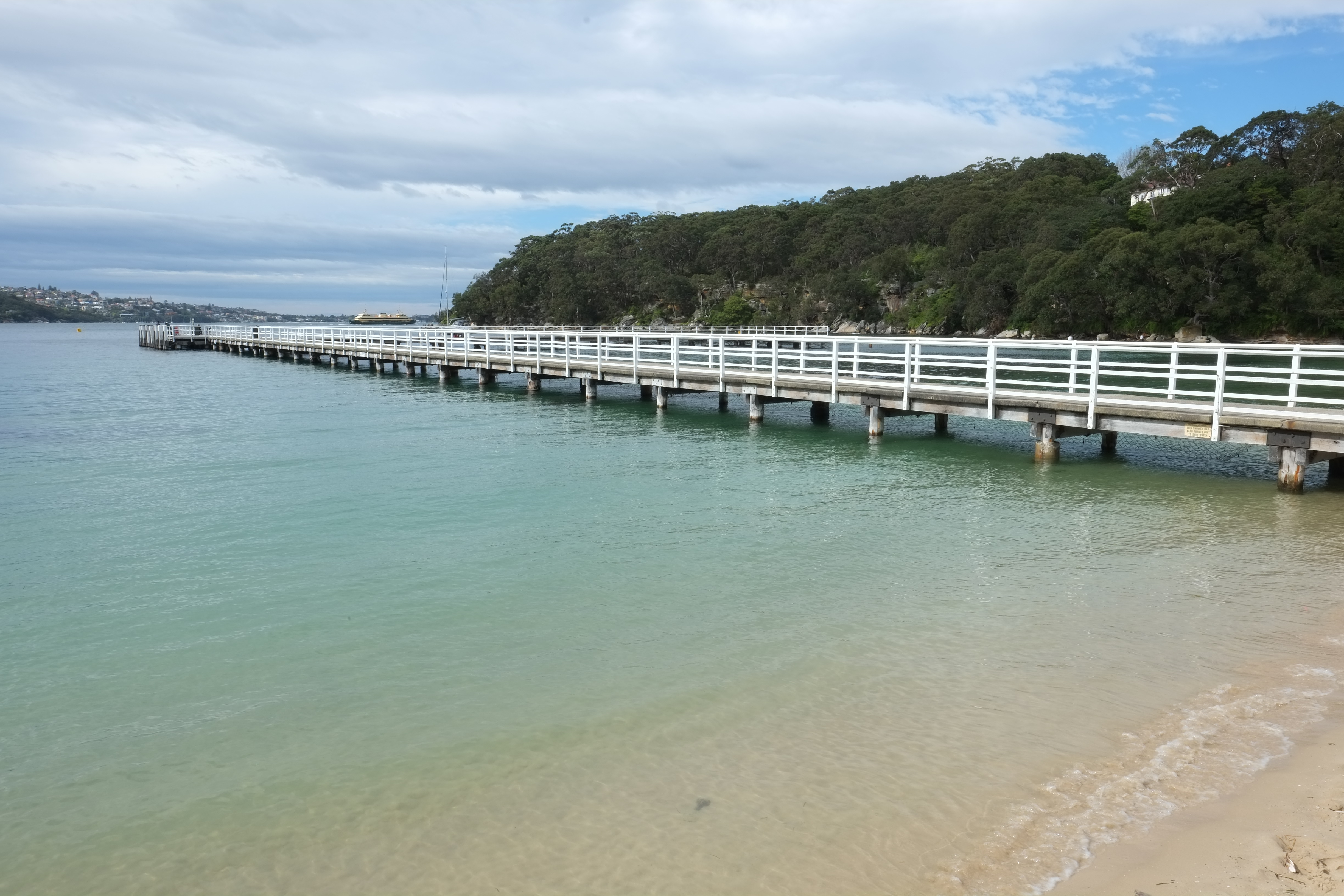 Chowder Bay, Sydney Harbour National Park. Photo: Elinor Sheargold/DPIE