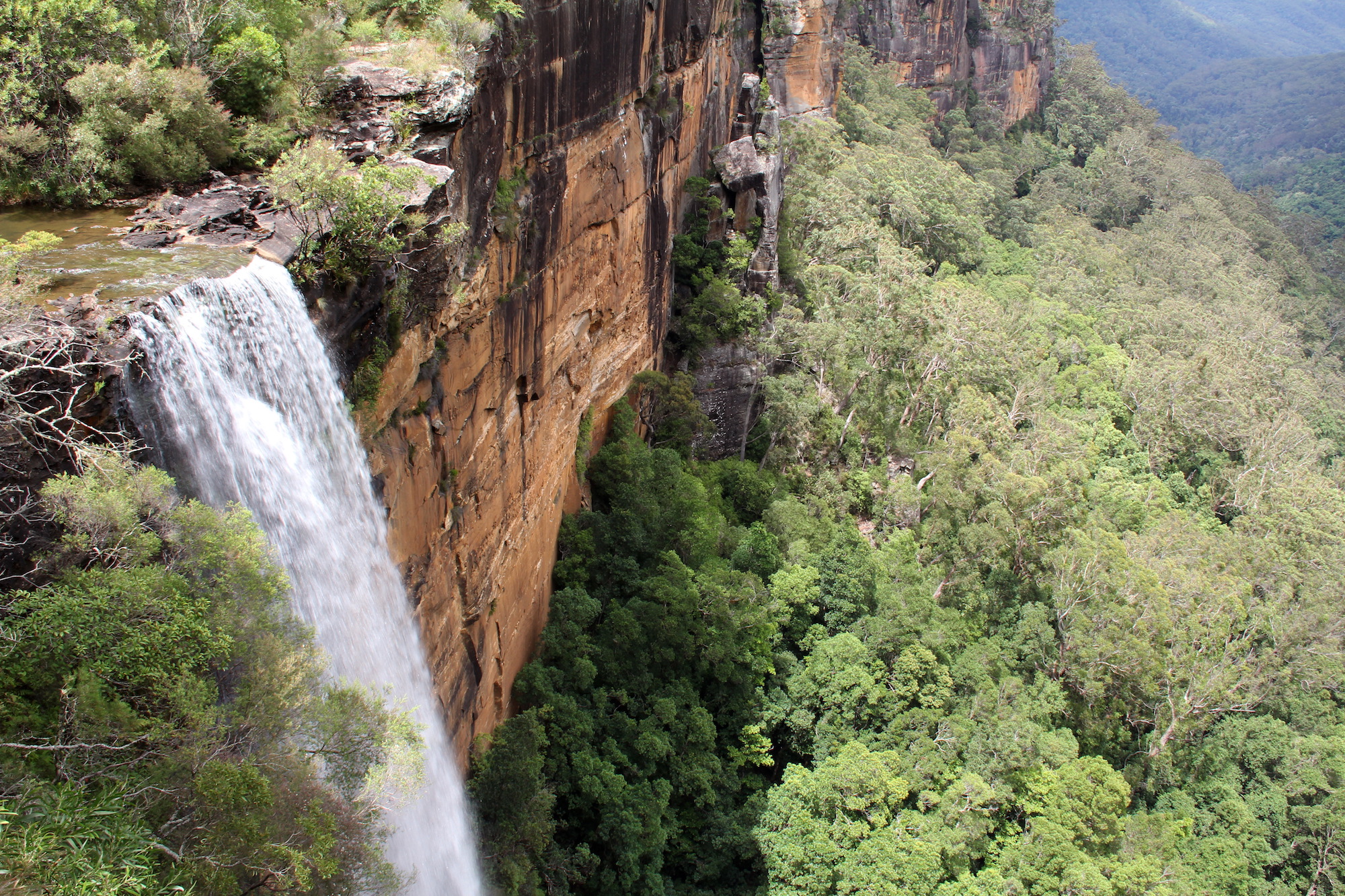 Fitzroy Falls, Morton National Park. Photo: John Yurasek/DPIE
