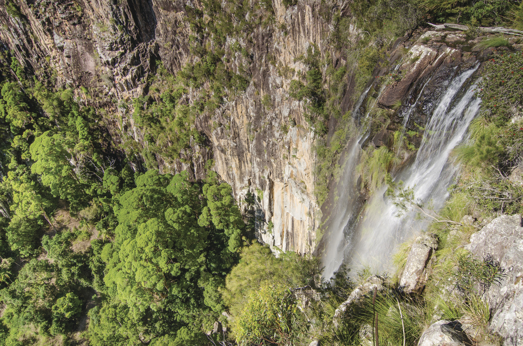 View of Minyon Falls from the lookout. Photo: John Spencer/DPIE