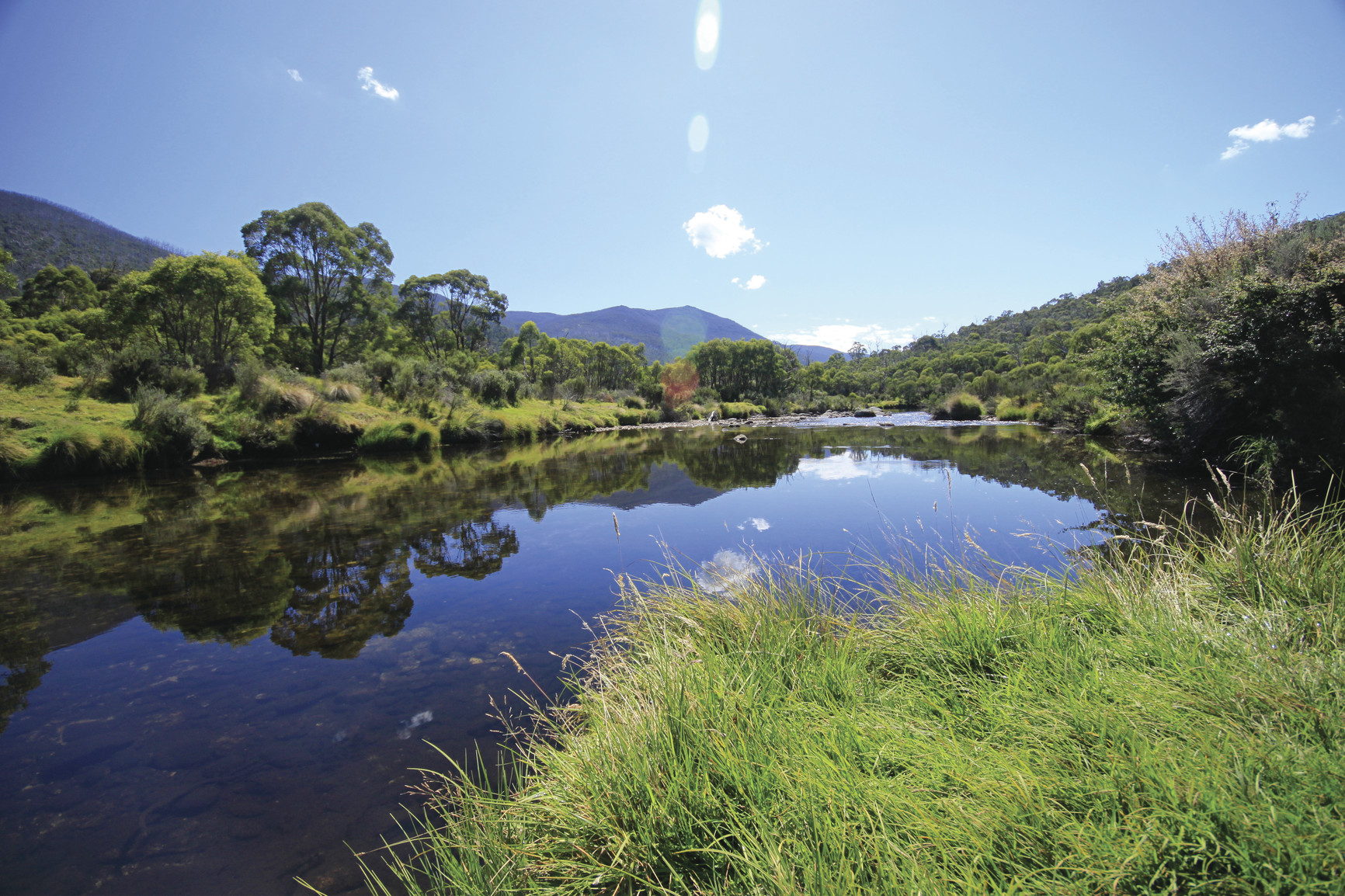 Thredbo River at Bullocks Hut, Kosciuszko National Park. Photo: Elinor Sheargold/DPIE