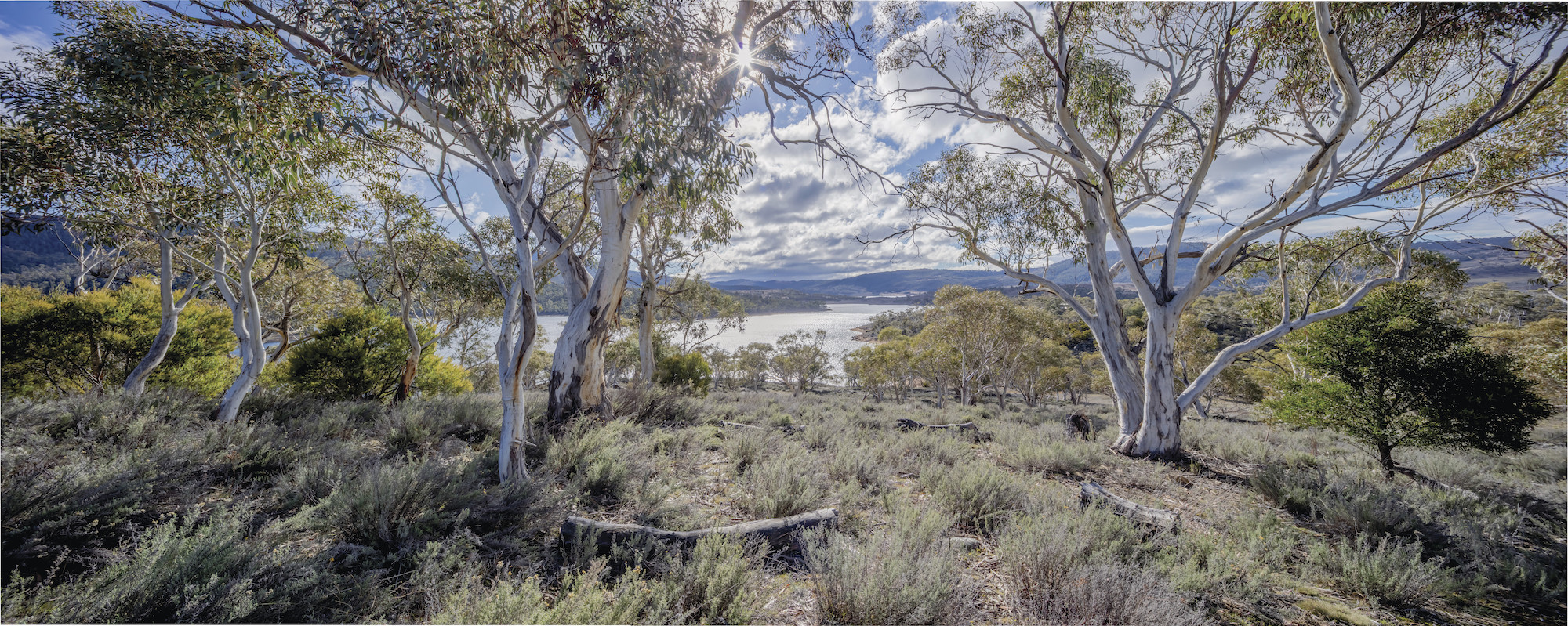View of Lake Jindabyne from Creel Lodge Thredbo-Perisher area in Kosciuszko National Park. Photo: Murray Vanderveer/DPIE