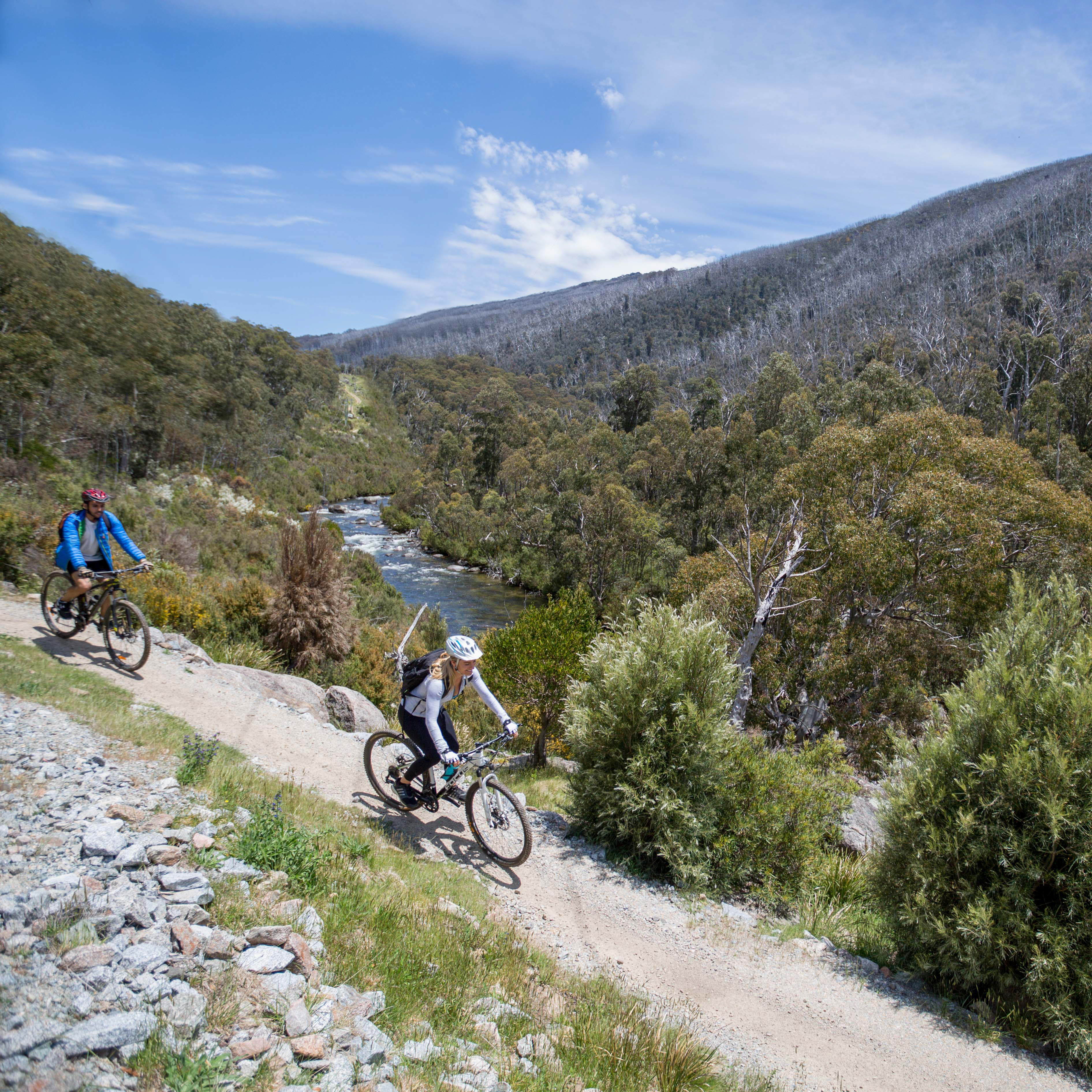 People riding mountain bikes along the Thredbo Valley track, Kosciuszko National Park. Photo: Boen Ferguson/DPIE