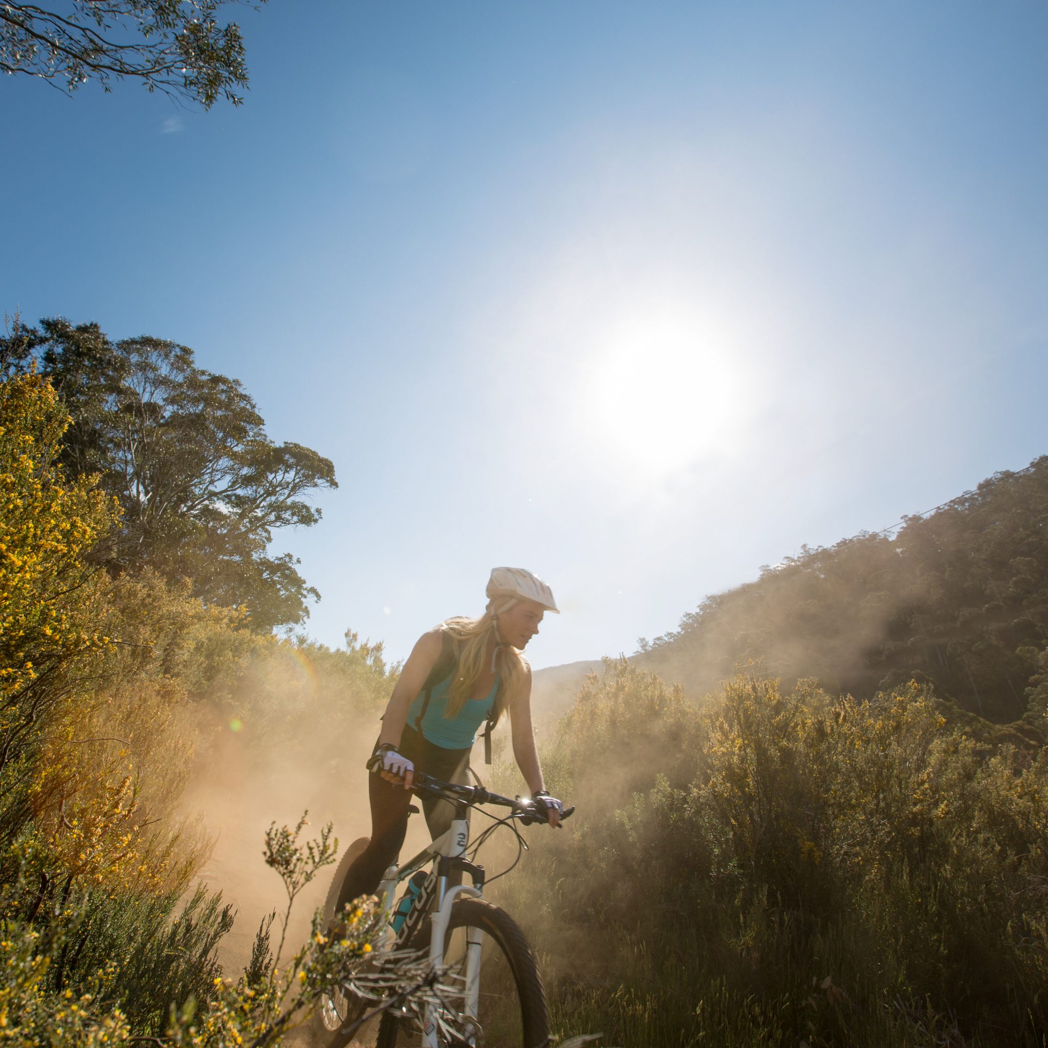 A woman on a mountain bike riding a trail in Kosciuszko National Park. Credit: Boen Ferguson/DPIE &copy; Boen Ferguson