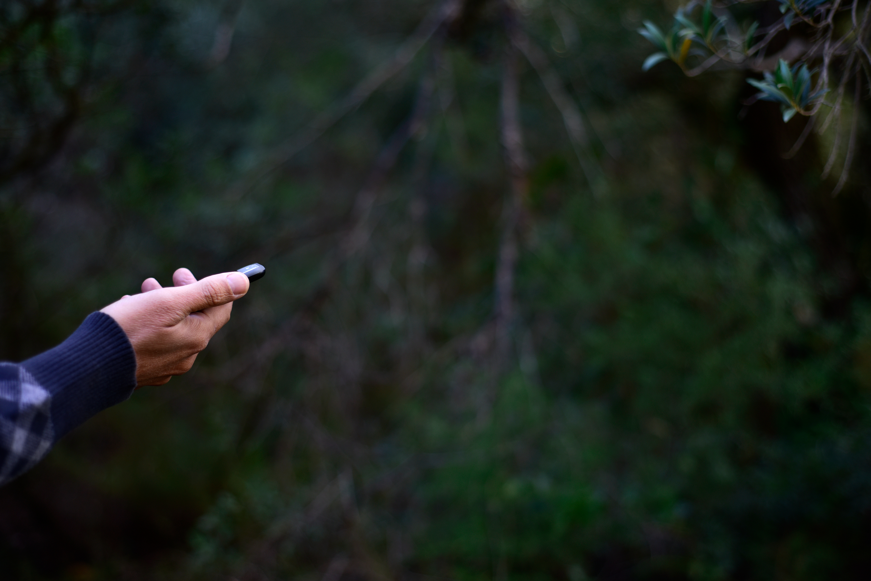 Person looking at their mobile phone