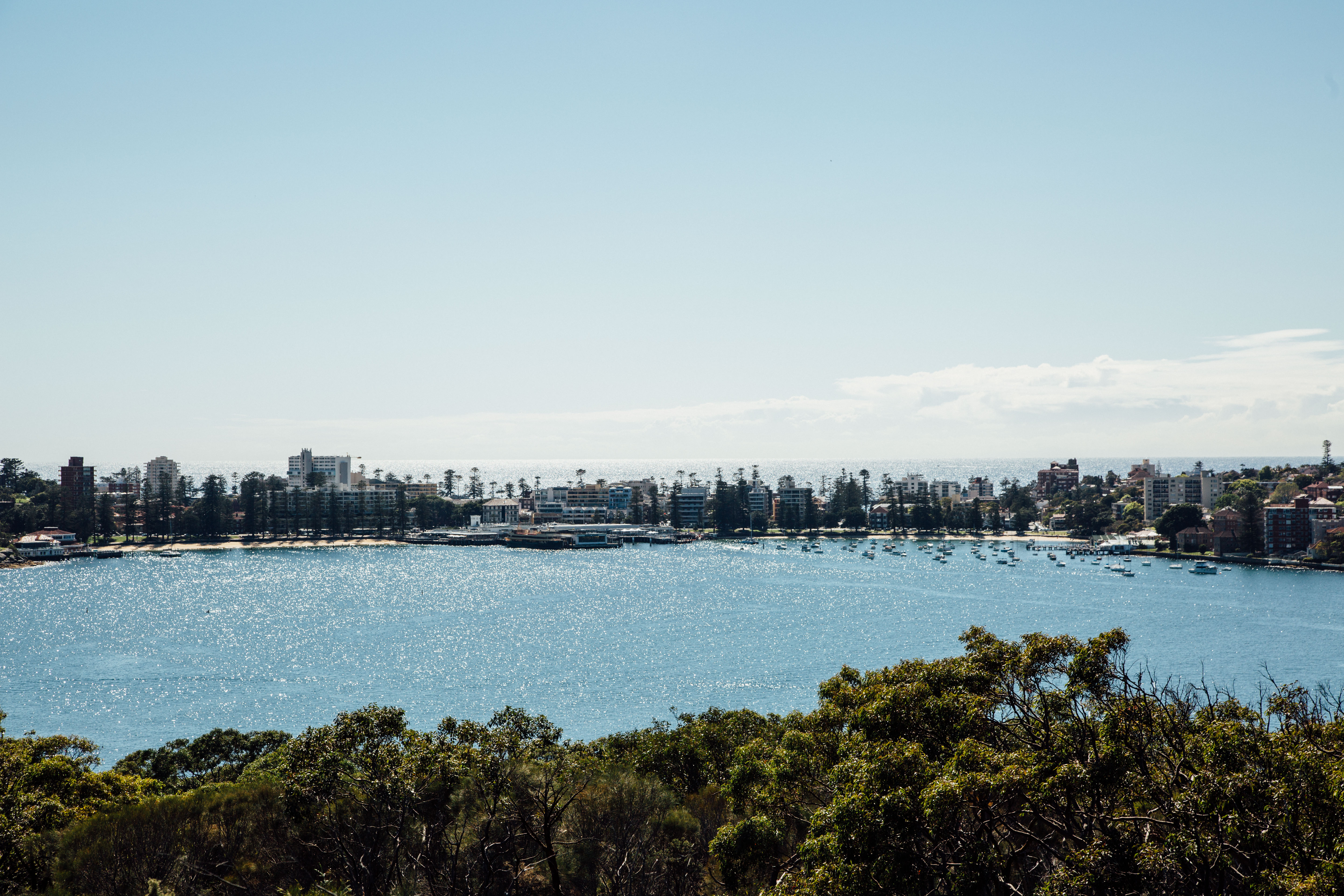 Manly Harbourside. Photo: Jack Bussell