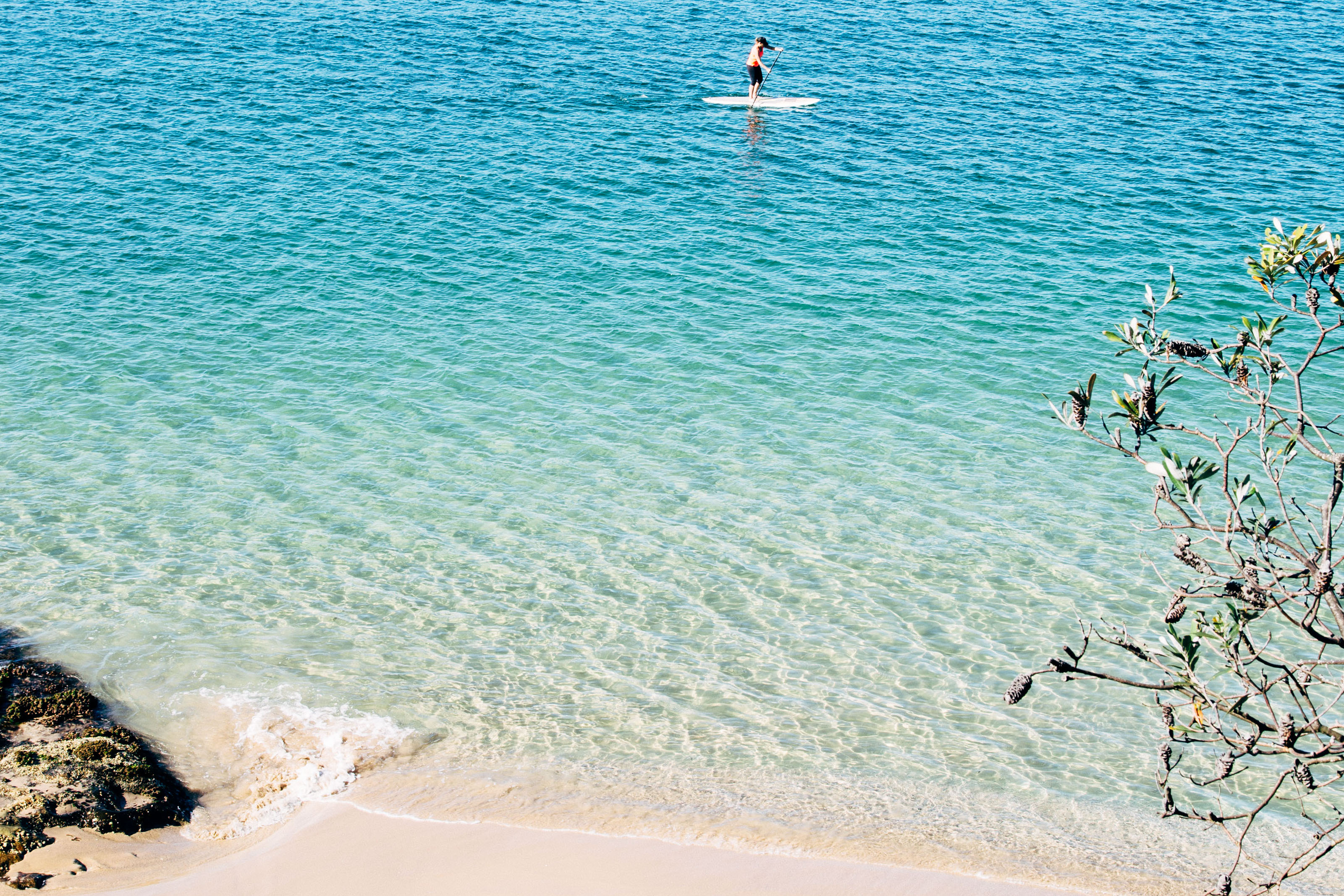 Person paddle boarding at Castle Rock Beach. Photo: Jack Bussell