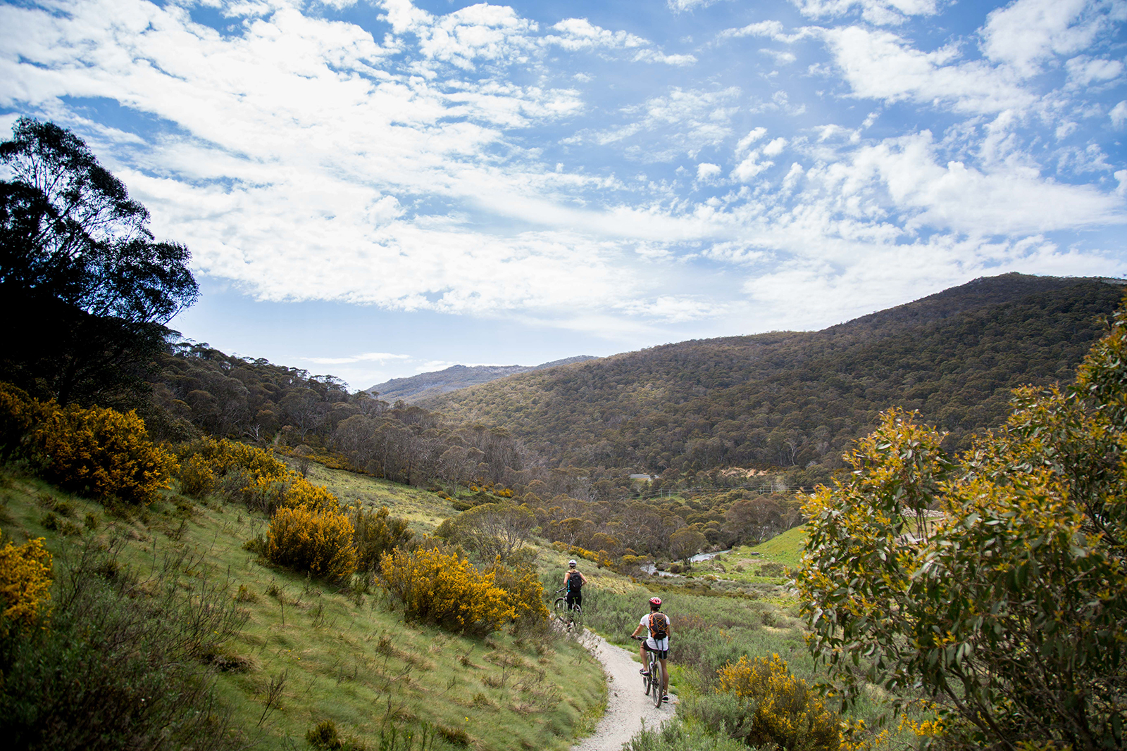 Two people riding on the Thredbo Valley track, Thredbo-Perisher area in Kosciuszko National Park. Photo credit: Boen Ferguson/DPIE