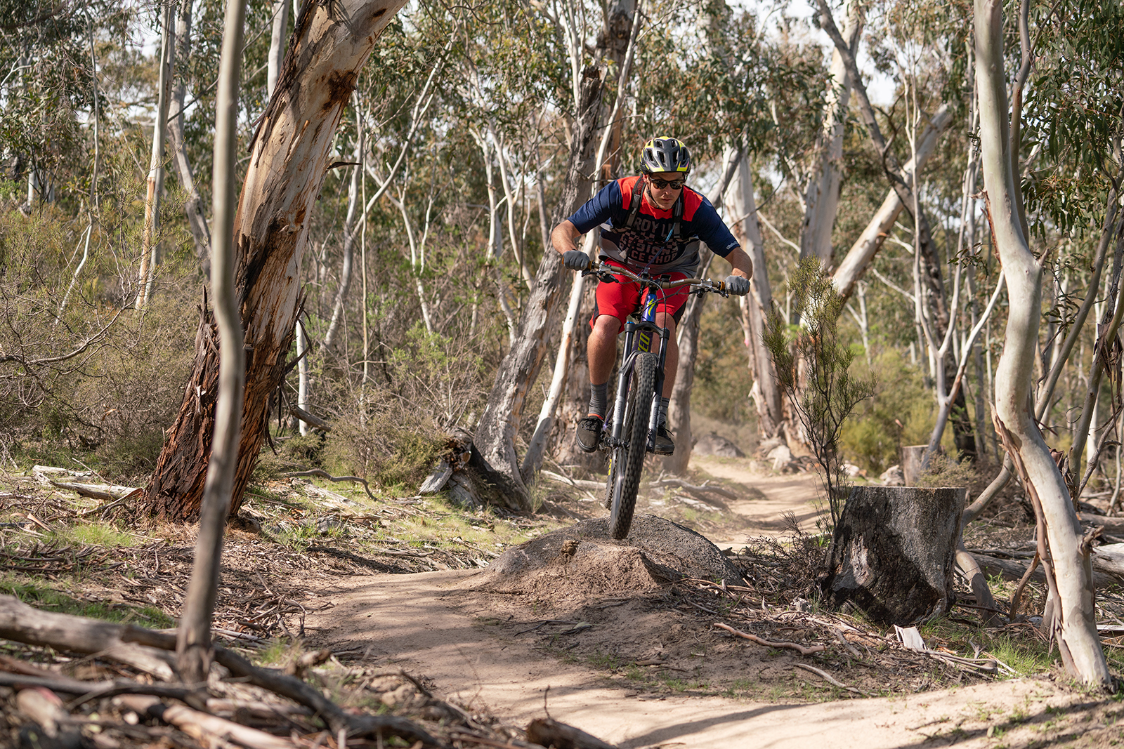 Person riding on the Thredbo Valley track, Thredbo-Perisher area in Kosciuszko National Park. Photo credit: Rob Mulally/DPIE