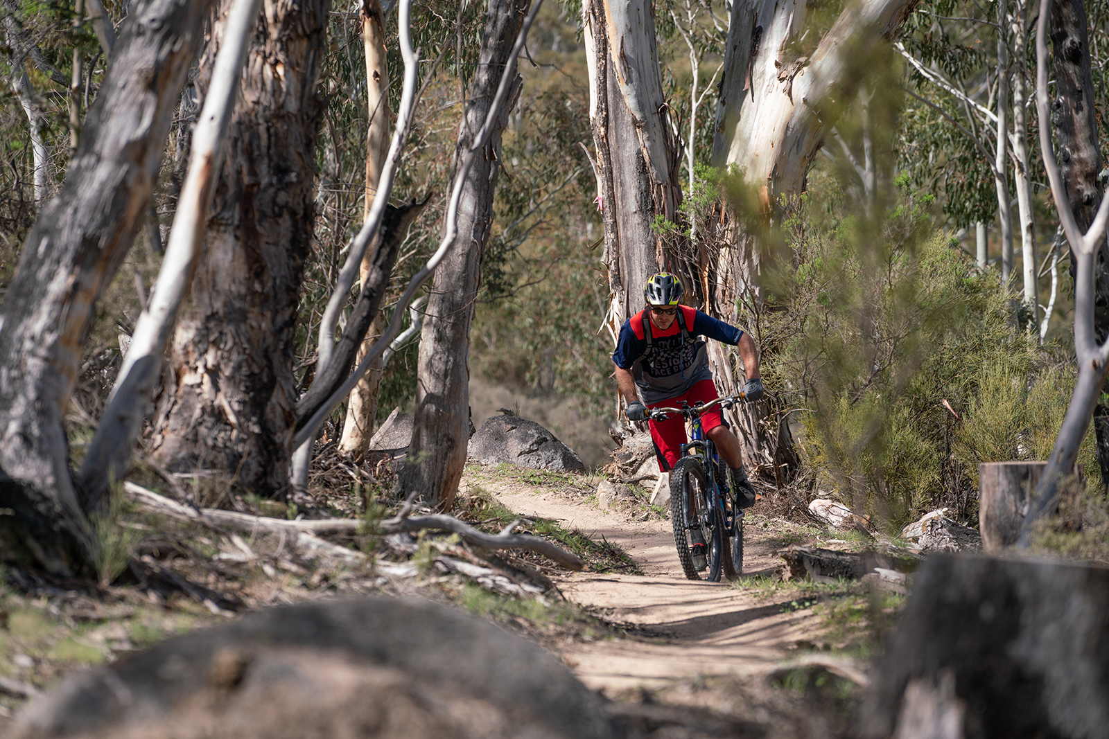 Person riding on the Thredbo Valley track, Thredbo-Perisher area in Kosciuszko National Park. Photo credit: Rob Mulally/DPIE