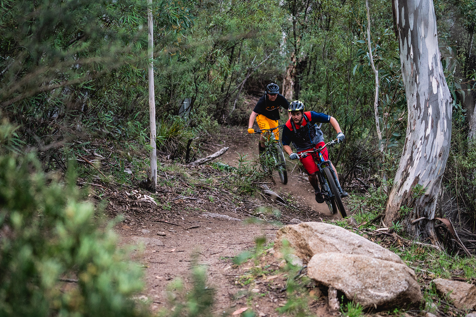 Two people riding Ngarigo campground to Thredbo Diggings campground on the Thredbo Valley track, Thredbo-Perisher area in Kosciuszko National Park. Photo credit: Rob Mulally/DPIE