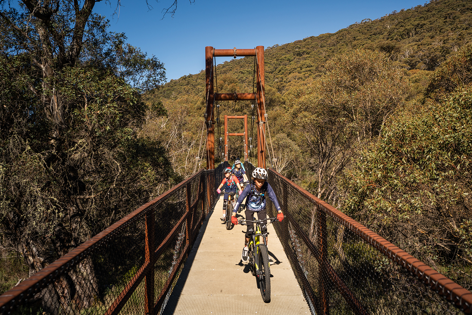 Face on view of people cycling across a bridge on Thredbo Valley track, Thredbo-Perisher area in Kosciuszko National Park. Photo credit: Rob Mulally/DPIE