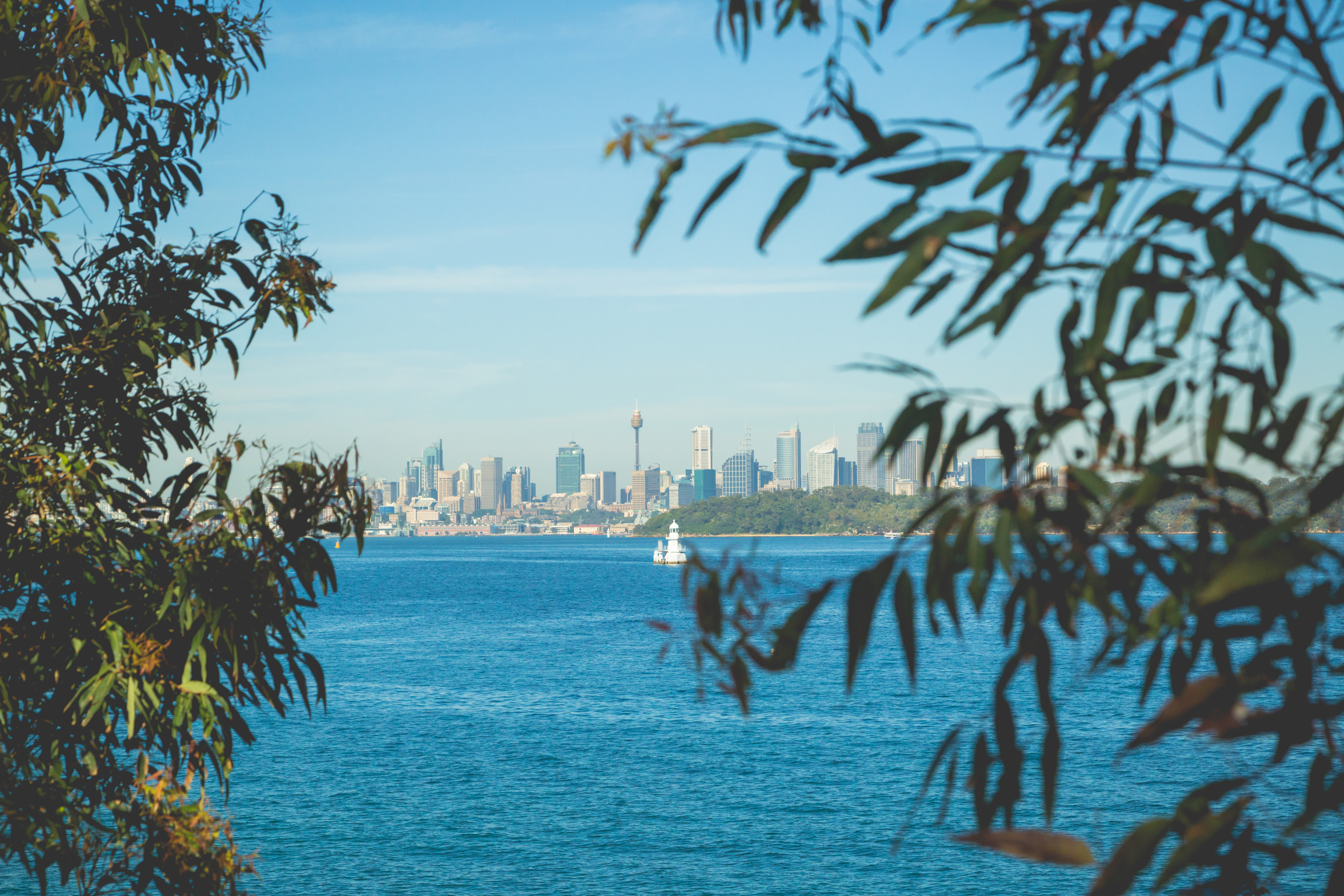 View of the city from South Head, Sydney harbour National Park. Photo: © Instagram - @hugh.obrien