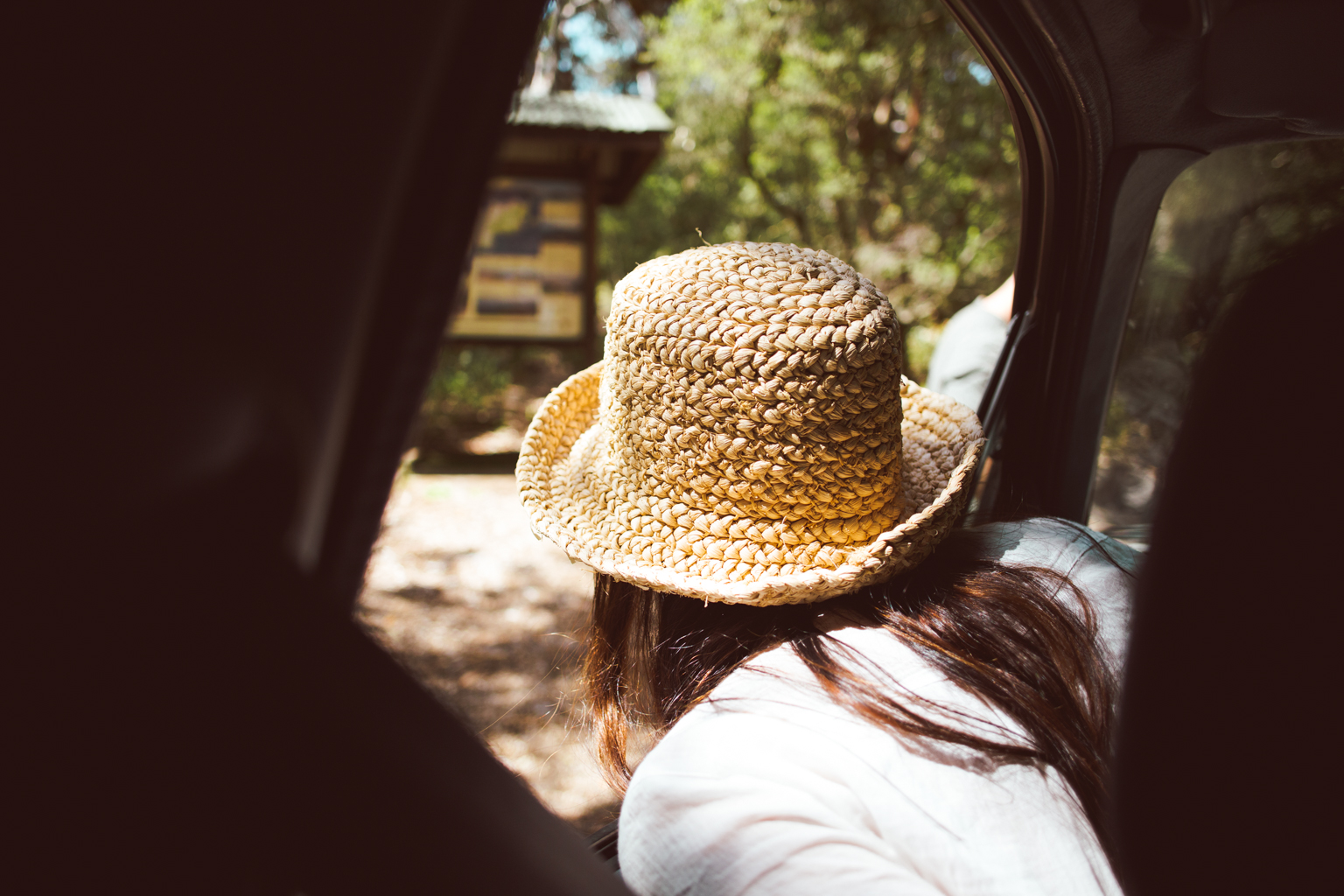 Person leaning out of a stationery car window. Photo: Tim Clark