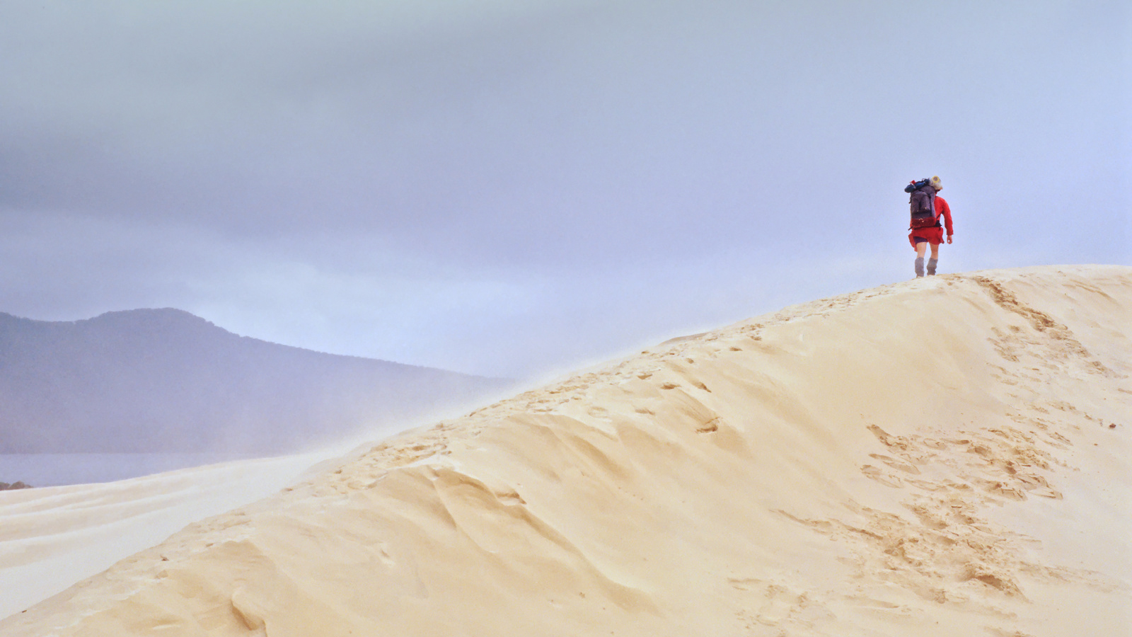Person walking along the dunes towards Lake Barracoota, Nadgee Nature Reserve. Photo: David Houlder/DCCEEW © David Houlder