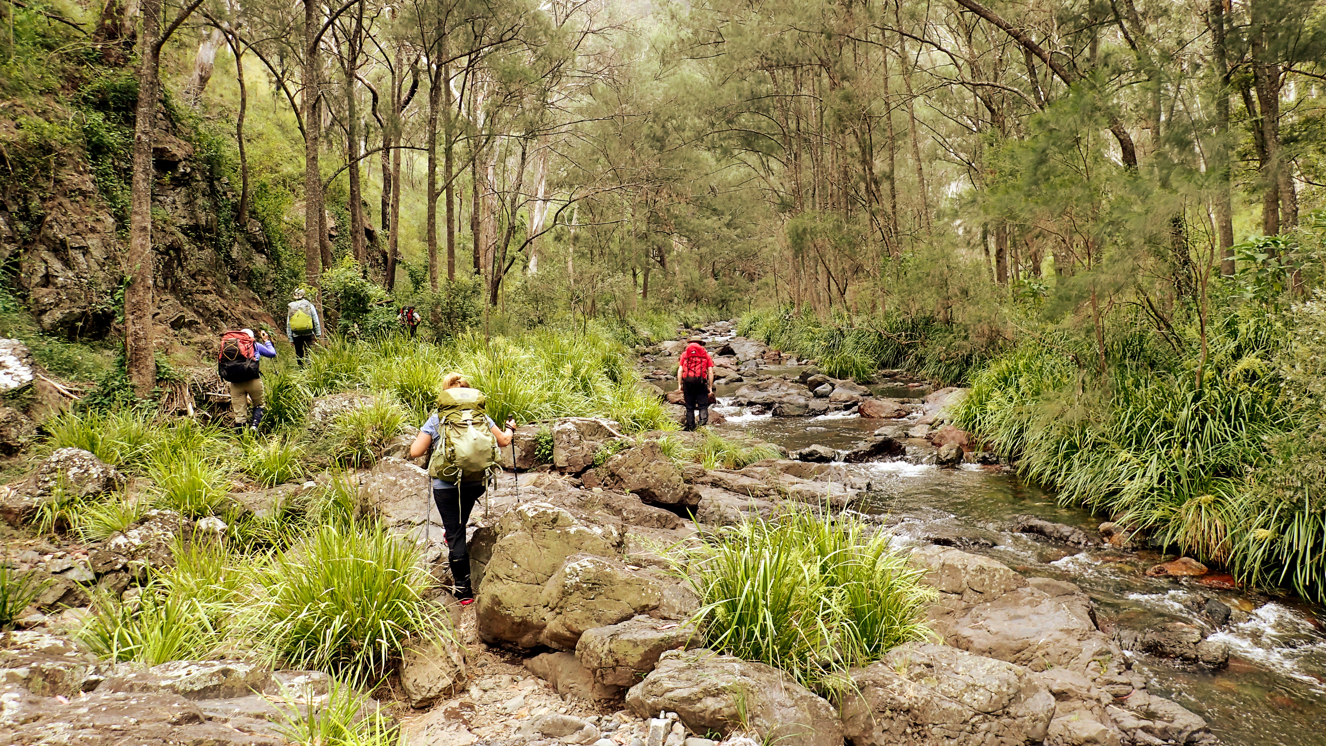 People exploring Green Gully Creek. Photo: Caro Ryan