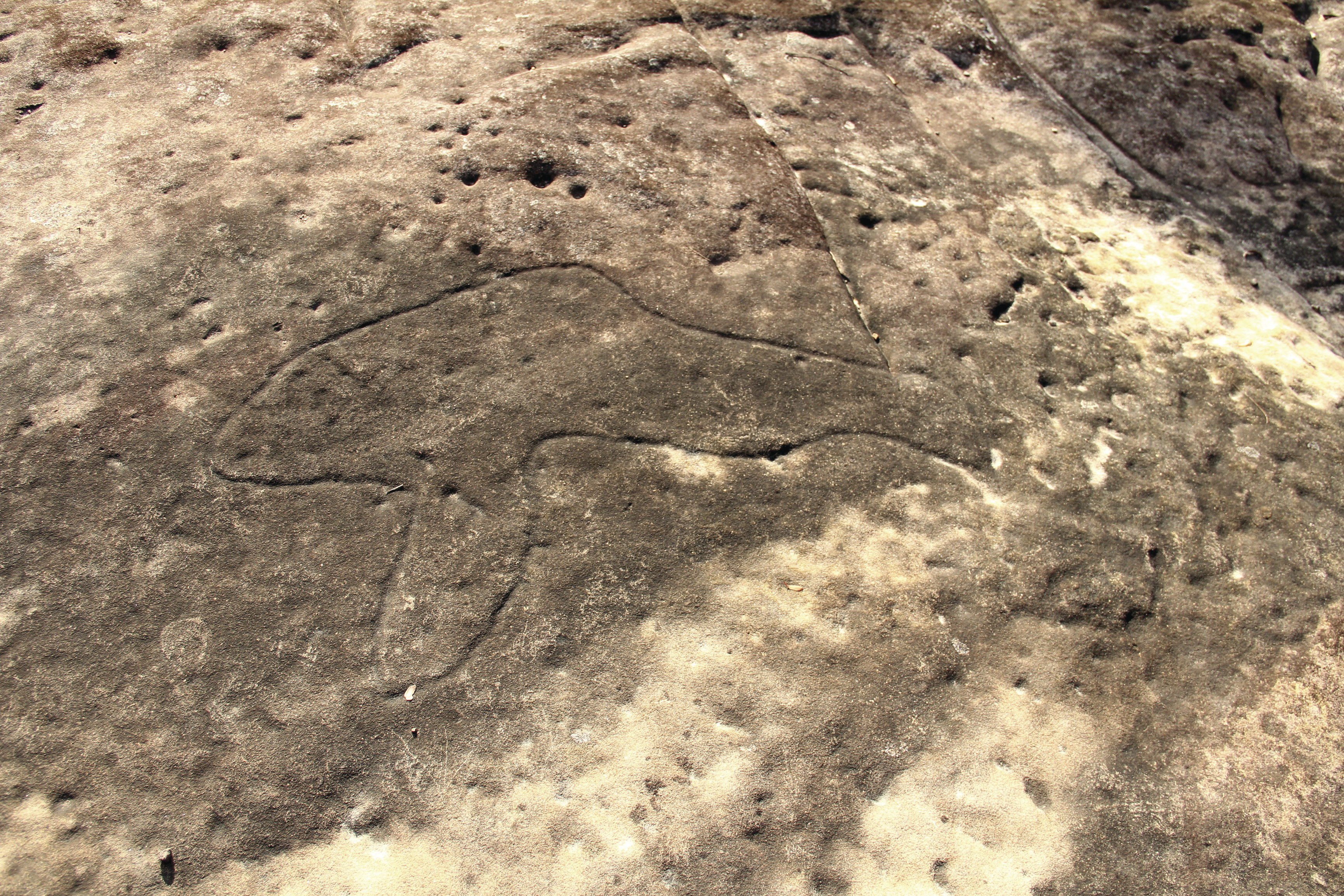 Bulgandry Art Site Aboriginal Place, Brisbane Water National Park. Photo: John Yurasek/DPIE