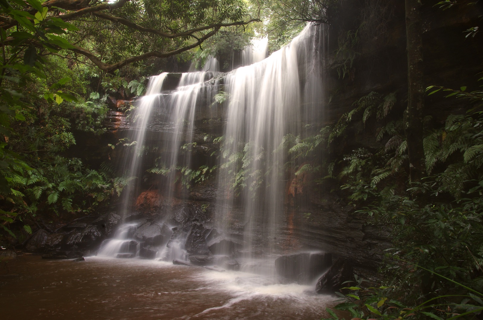 Shady waterfall at Andamira lookout in Brisbane Water National Park. Photo credit: Barry Collier/DPIE