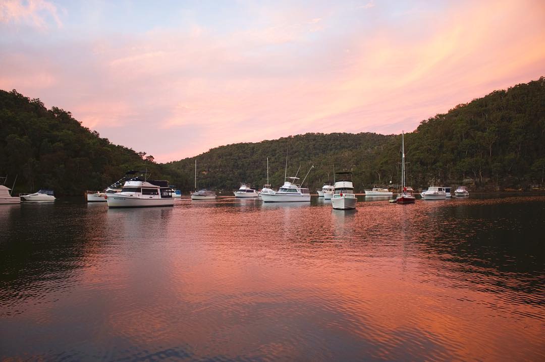 Sunset view of Apple Tree picnic area in Ku-ring-gai Chase National Park. Photo: © Instagram @glivett