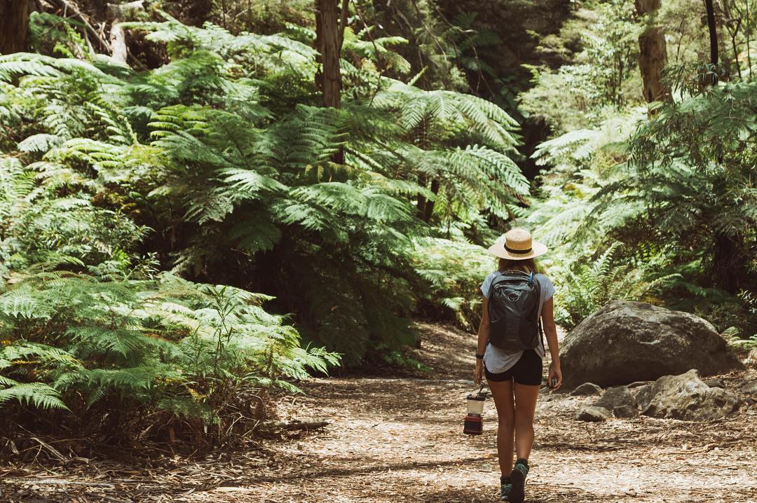 Love the beautiful Blue Mountains? Hit up Wollemi for your next nature fix