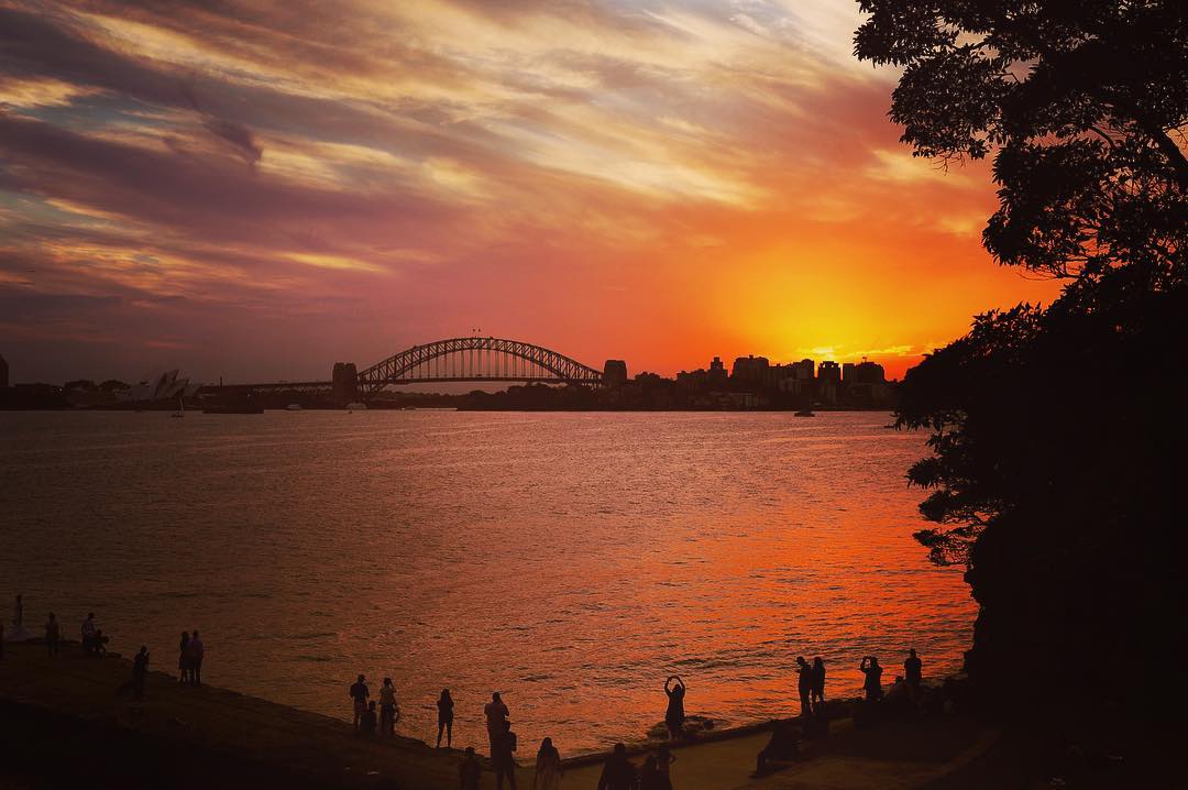 Sunset view of Sydney Harbour from Bradleys Head, Sydney Harbour National Park. Photo: © Instagram @lanecovetdream