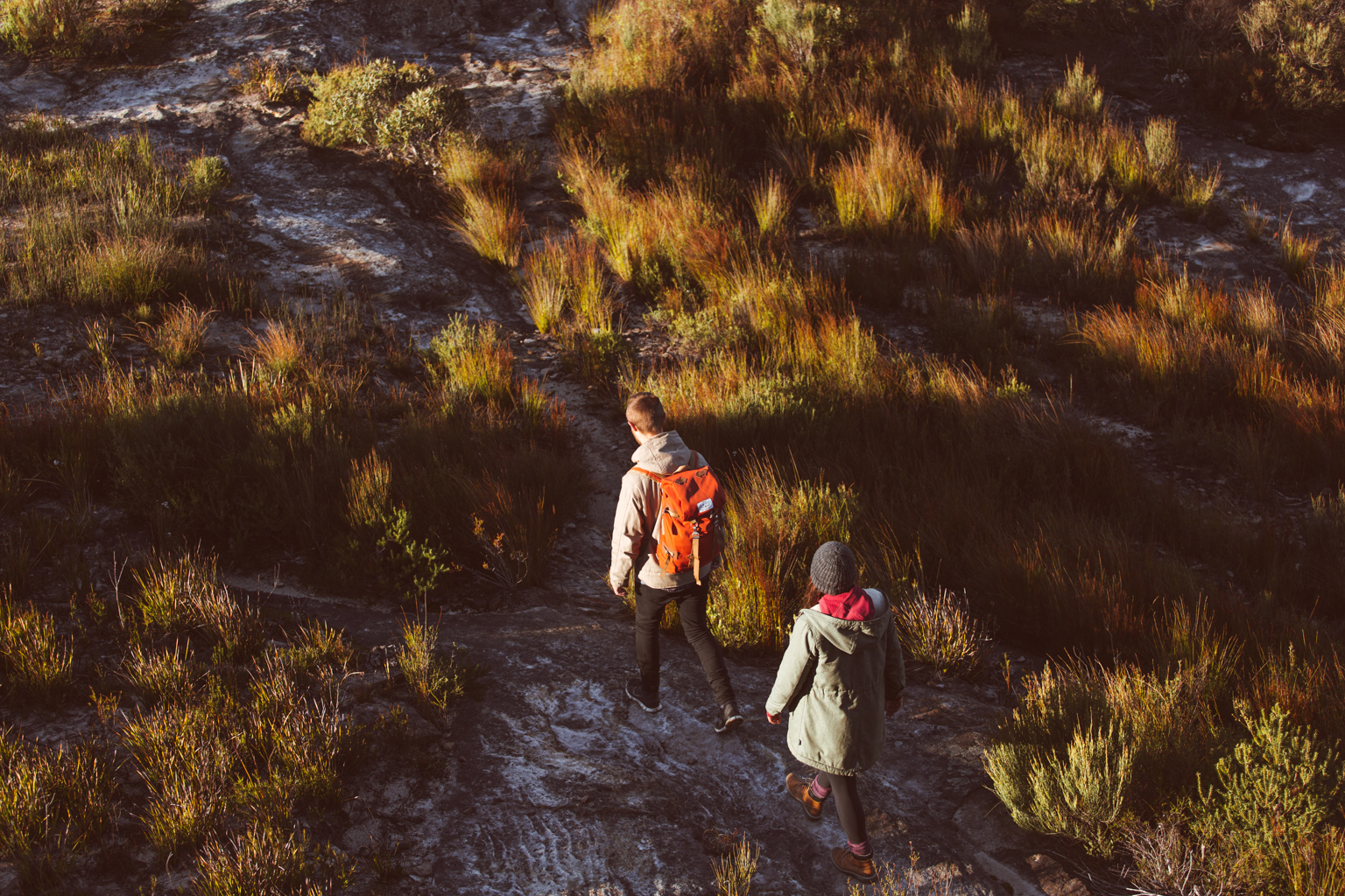 Two people hiking in Blue Mountains National Park. Photo credit: Tim Clark