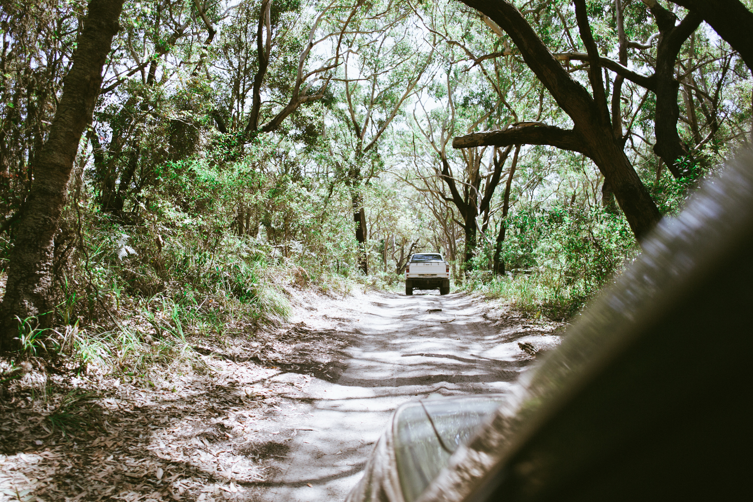4WDing on an unsealed road through a NSW national park. Photo credit: Tim Clark / DPE