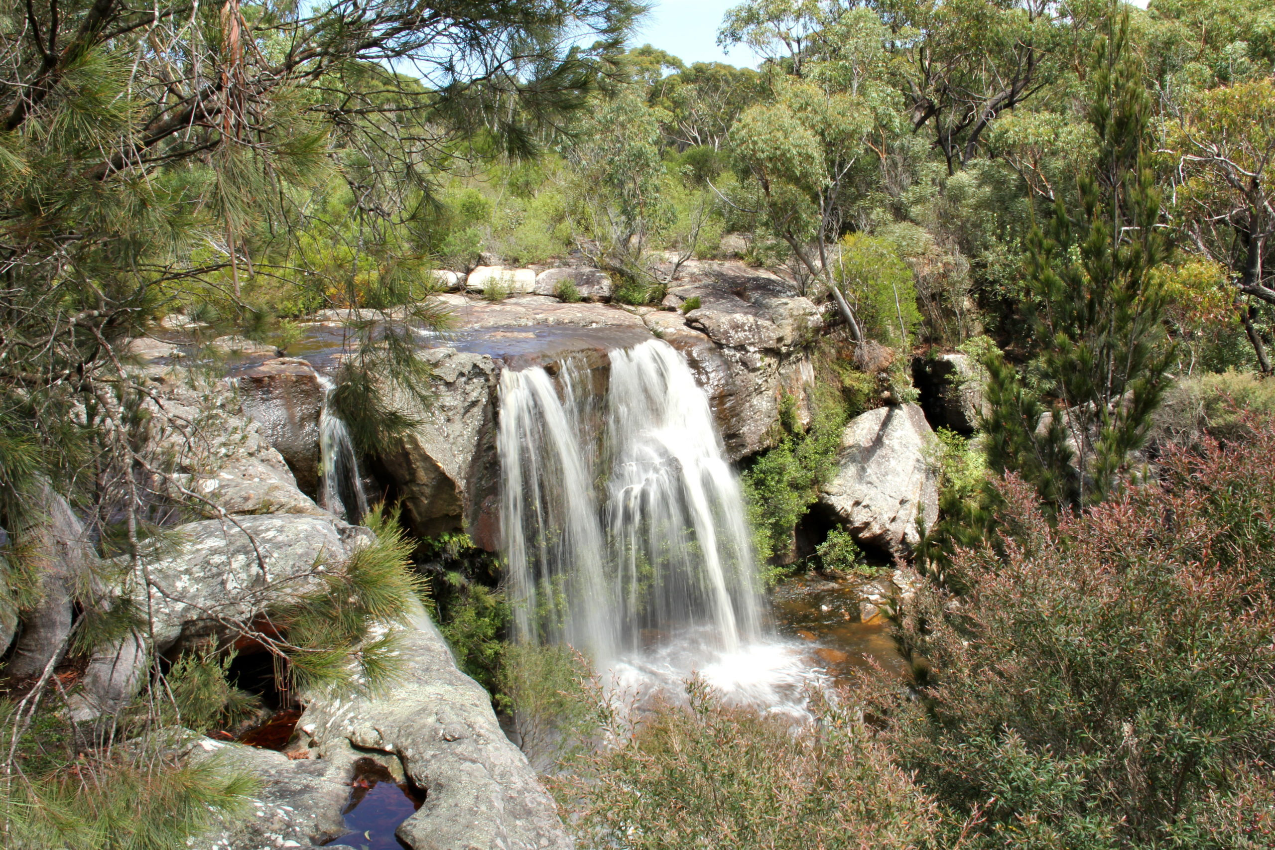 Maddens Falls. Dharawal National Park. Photo credit: John Yurasek / DPE