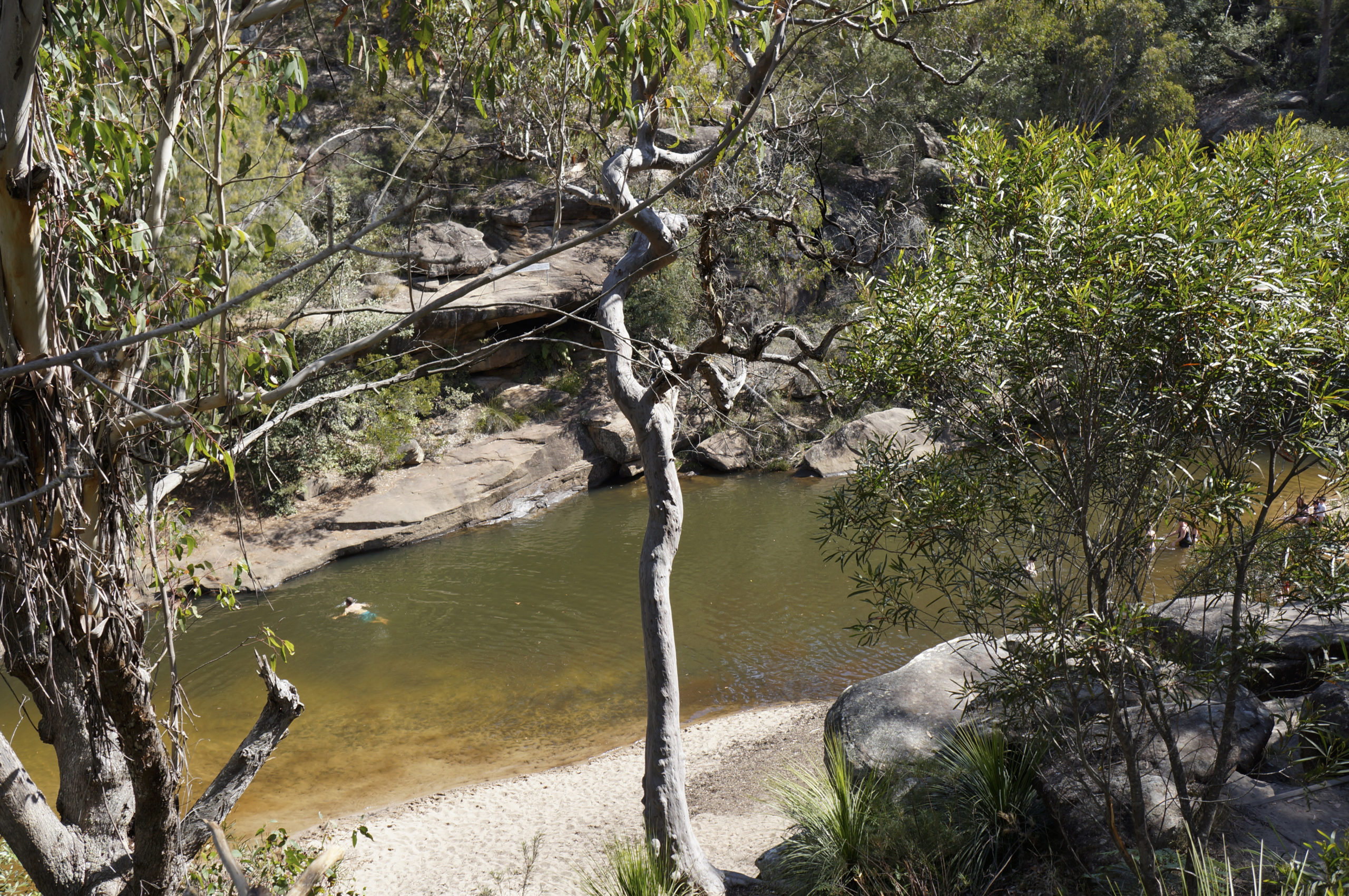 Glenbrook Gorge track. Photo credit: Stephen Alton/DPE