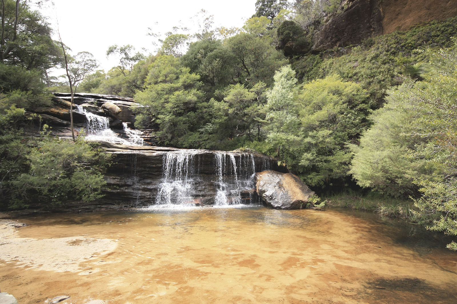 Wentworth Falls walking track, Blue Mountains National Park. Photo Credit: Elinor Sheargold/DPIE