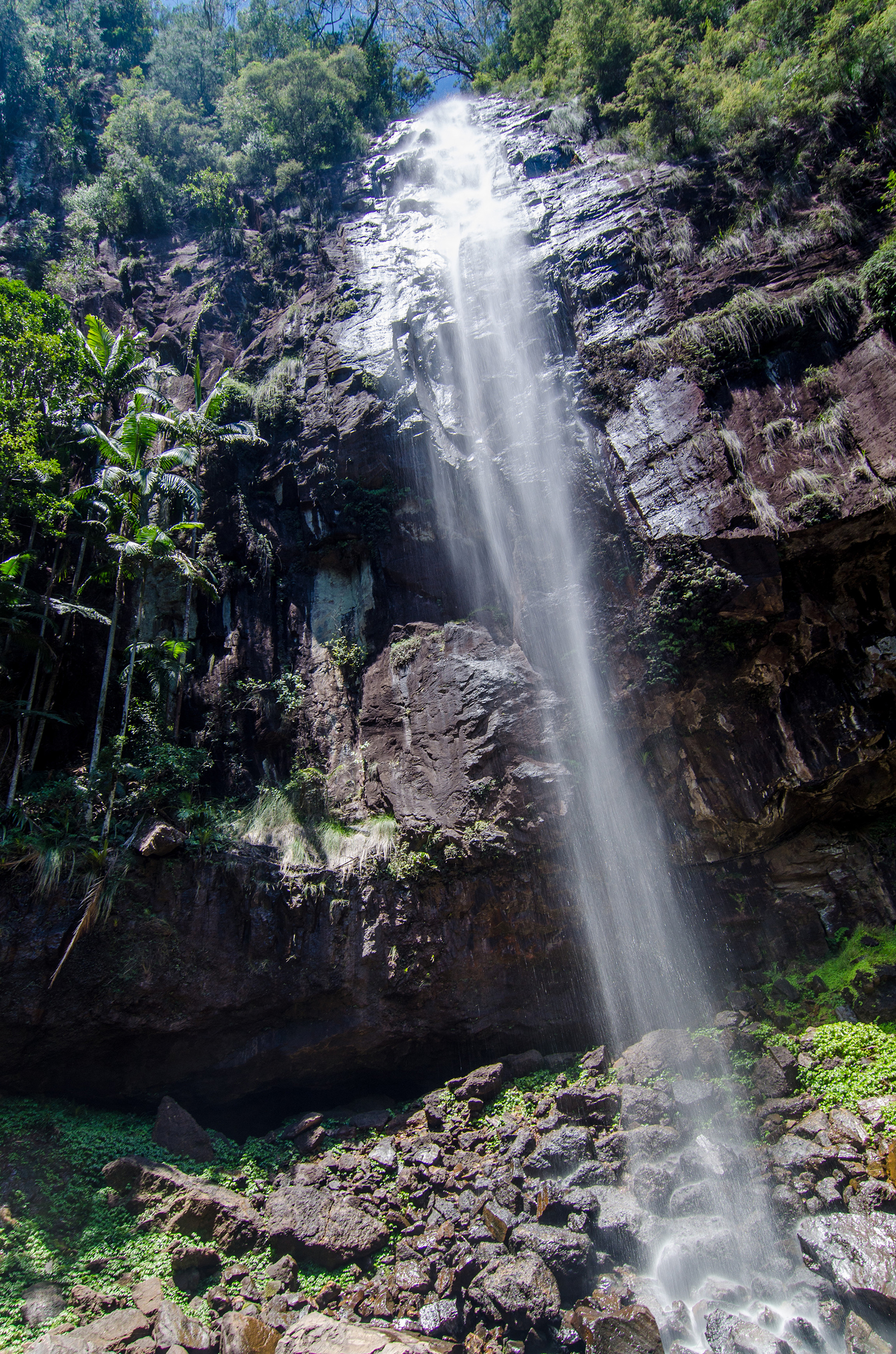 Protestor Falls, Nightcap National Park. Photo: John Spencer/DPIE
