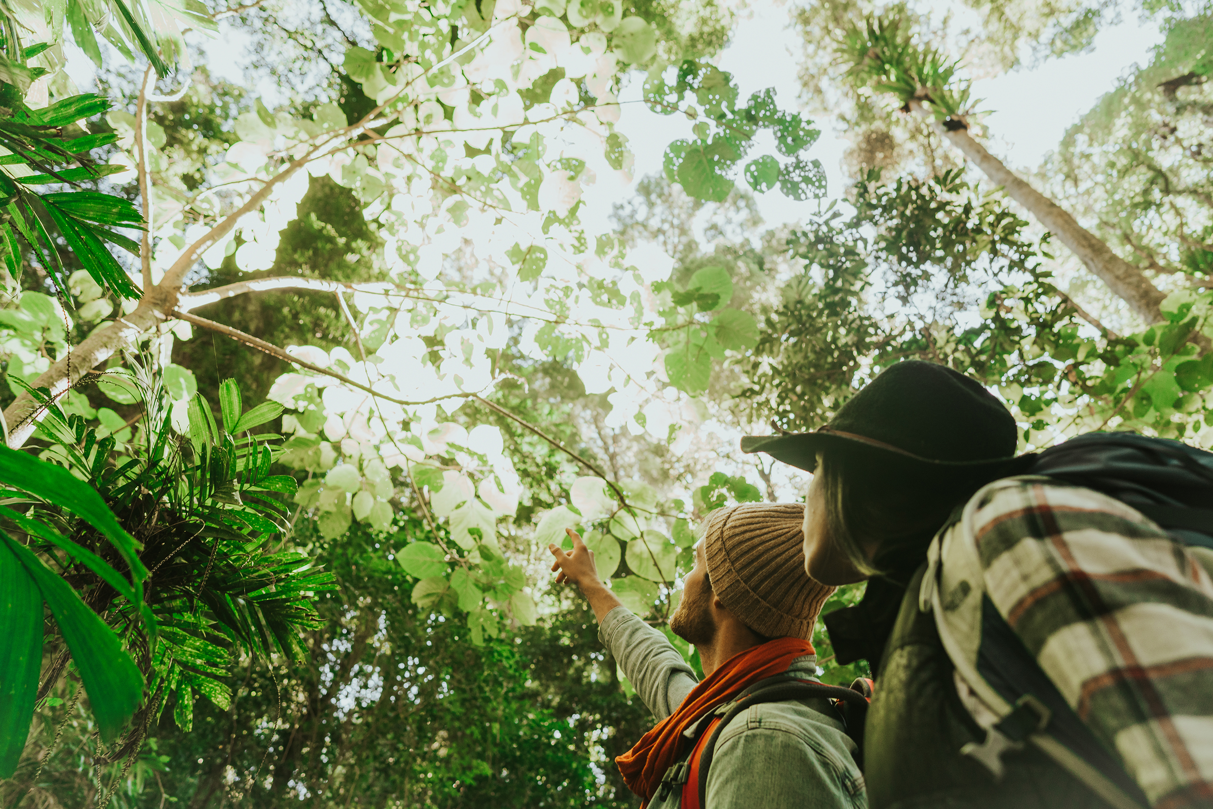 The National Parks and Wildlife Act