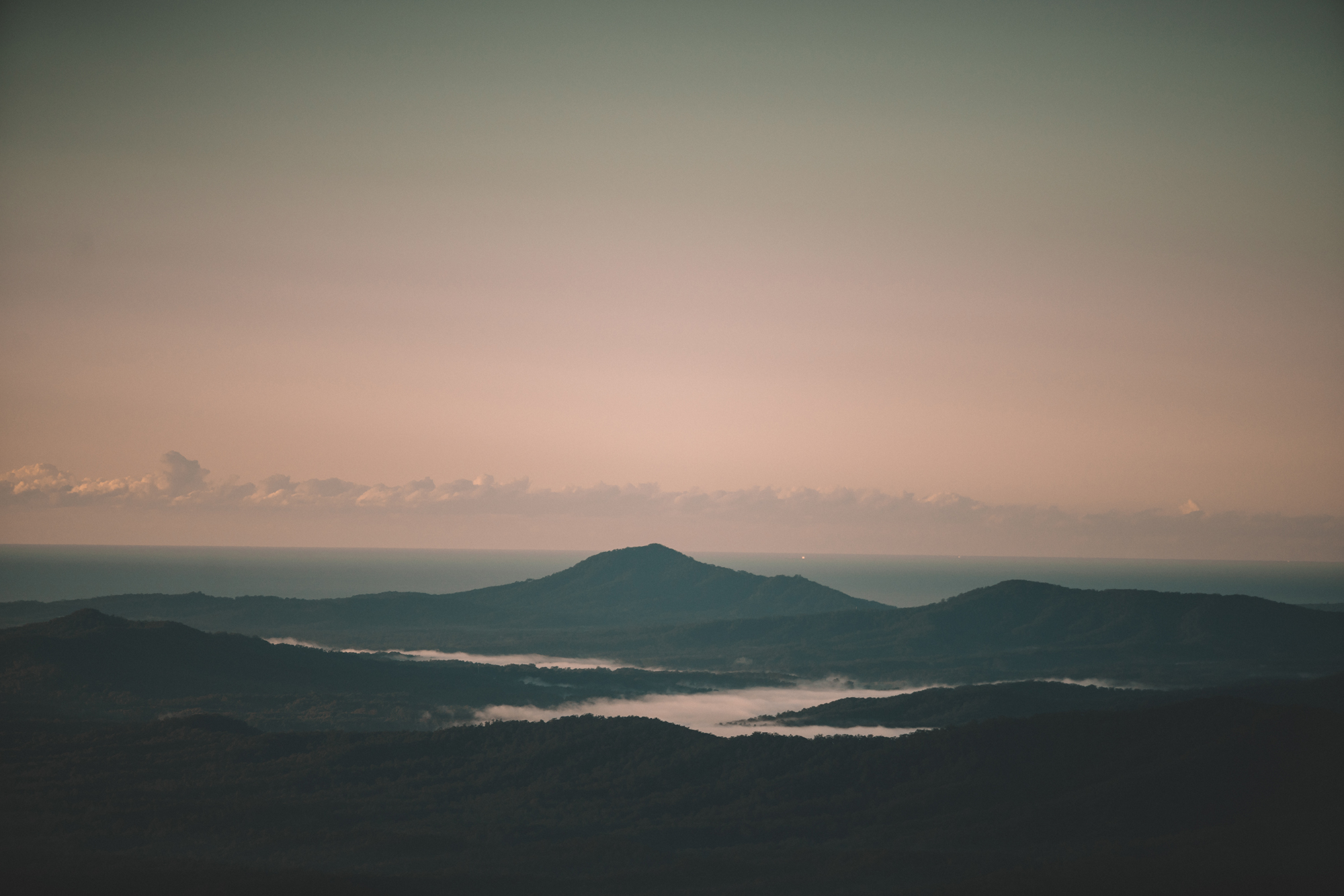 Landscape view of the mountains in Dorrigo National Park. Photo credit: Branden Bodman/DPIE