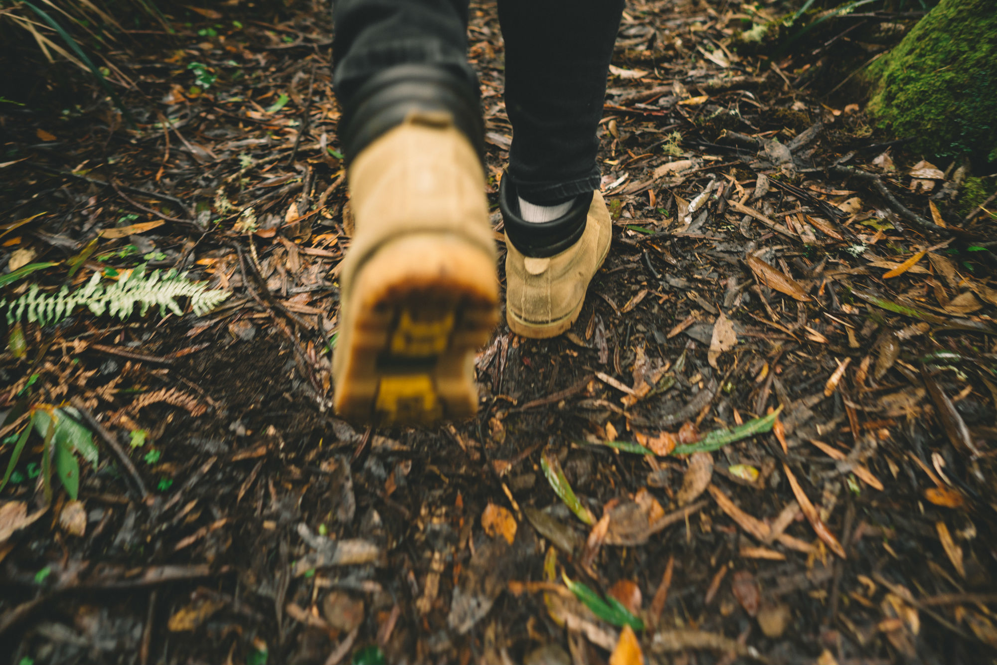 Pair of hiking boots walking through a wet, leafy NSW national park. Photo credit: Branden Bodman/DCCEEW &copy; Branden Bodman