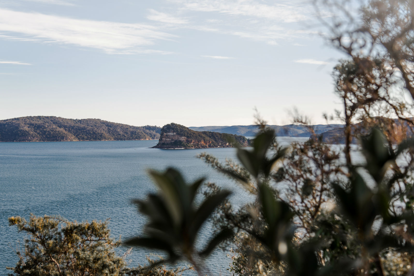 View of Lion Island from Box Head in Bouddi National Park. Photo: © Instagram @thuc.creative