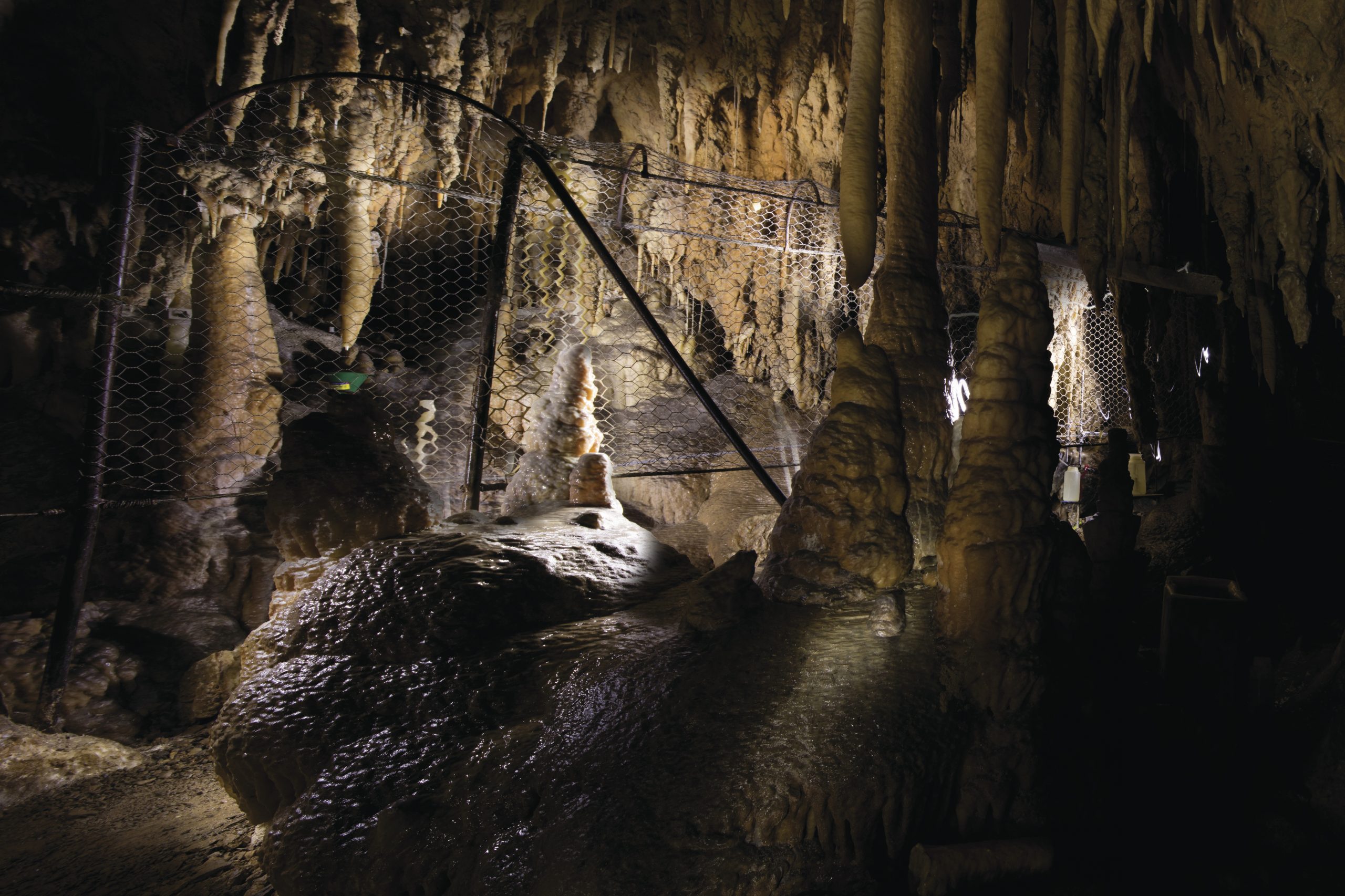 Harrie Wood Cave, Yarrangobilly Caves, Kosciuszko National Park. Photo credit: Murray Vanderveer/DPIE